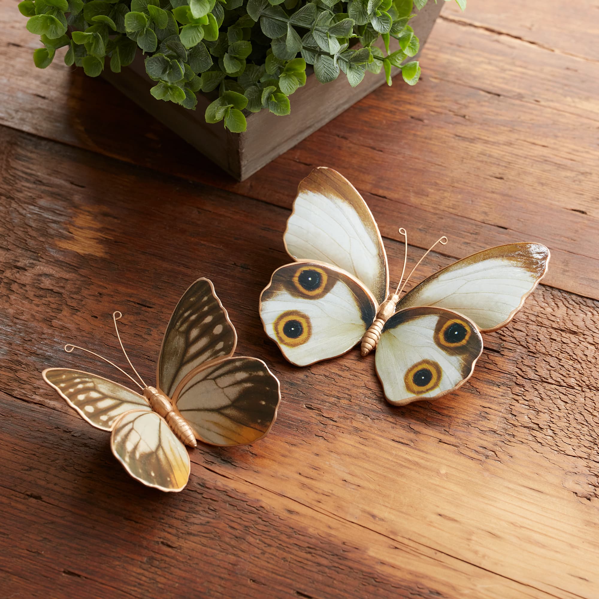 Amber Butterfly &#x26; Moth Shelf Sitter Set