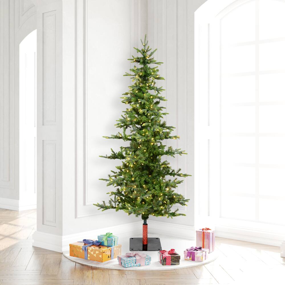 6ft. Pre-Lit Shawnee Fir Artificial Christmas Tree, Warm White LED Dura-Lit Lights