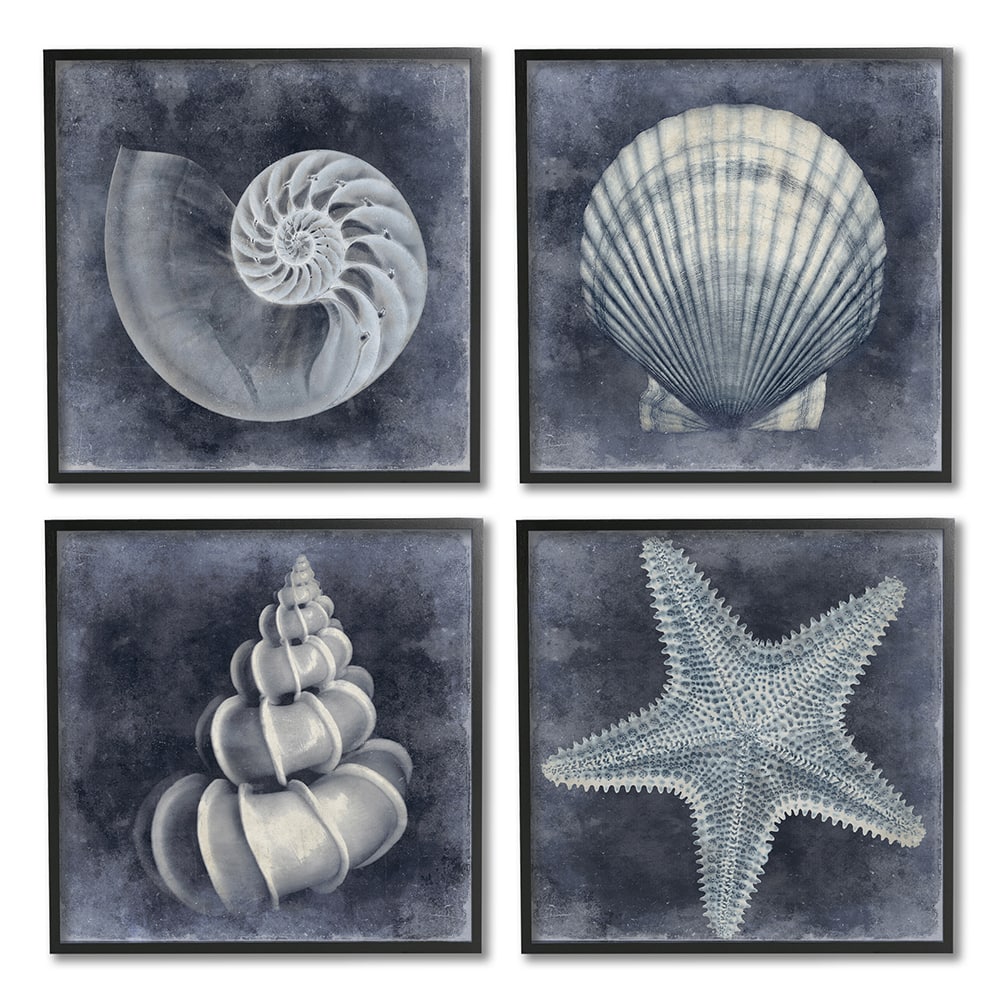 Stupell Industries Nautical Distressed Seashells and Starfish Blue White,12&#x22; x 12&#x22;