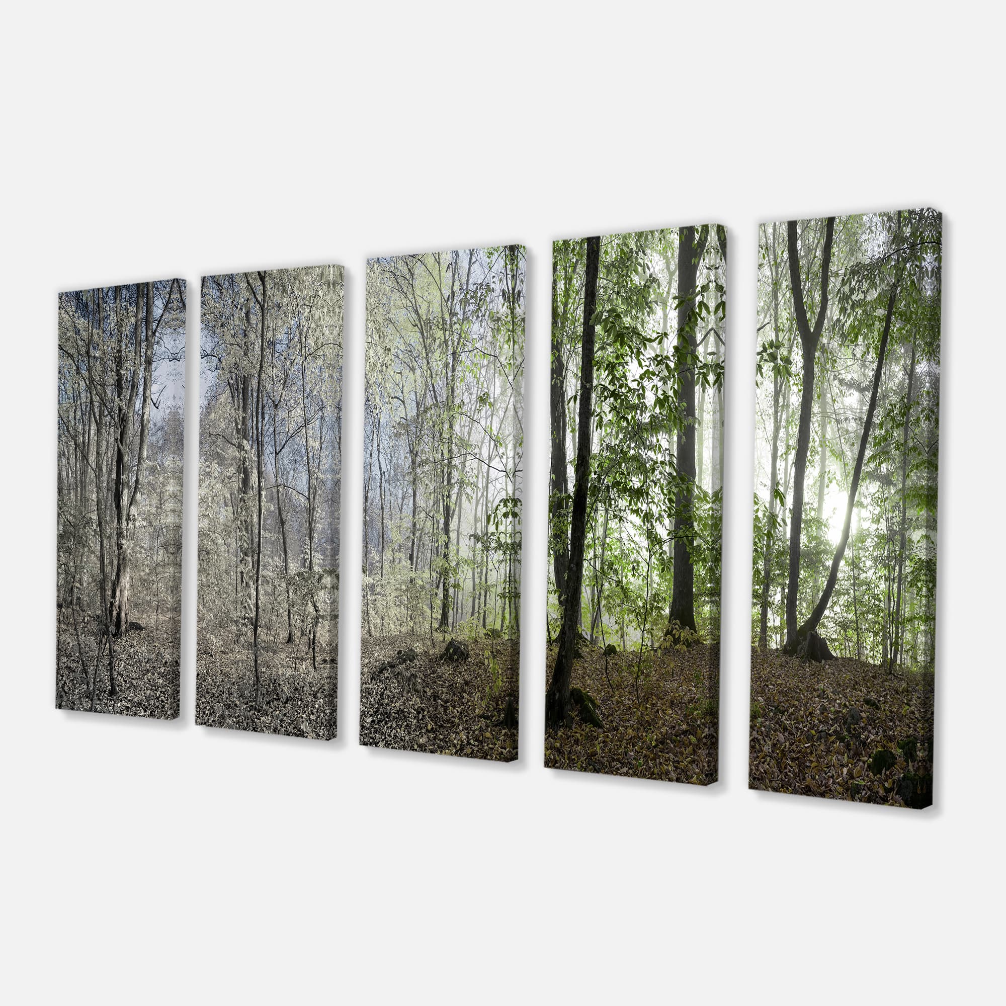 Designart - Green Morning in Forest Panorama - Landscape Canvas Art Print