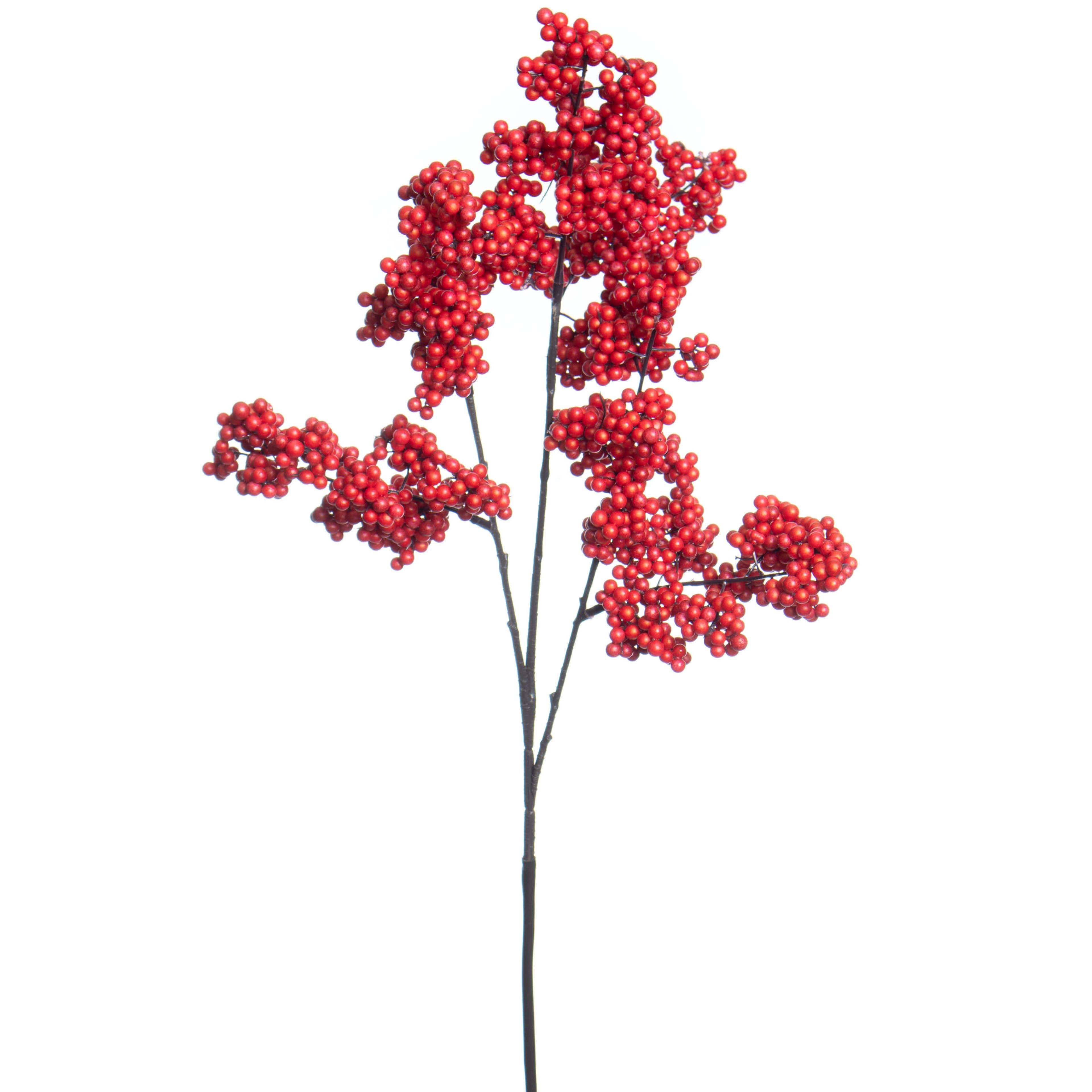 28.75&#x22; Dark Red Berry Stem by Ashland&#xAE;
