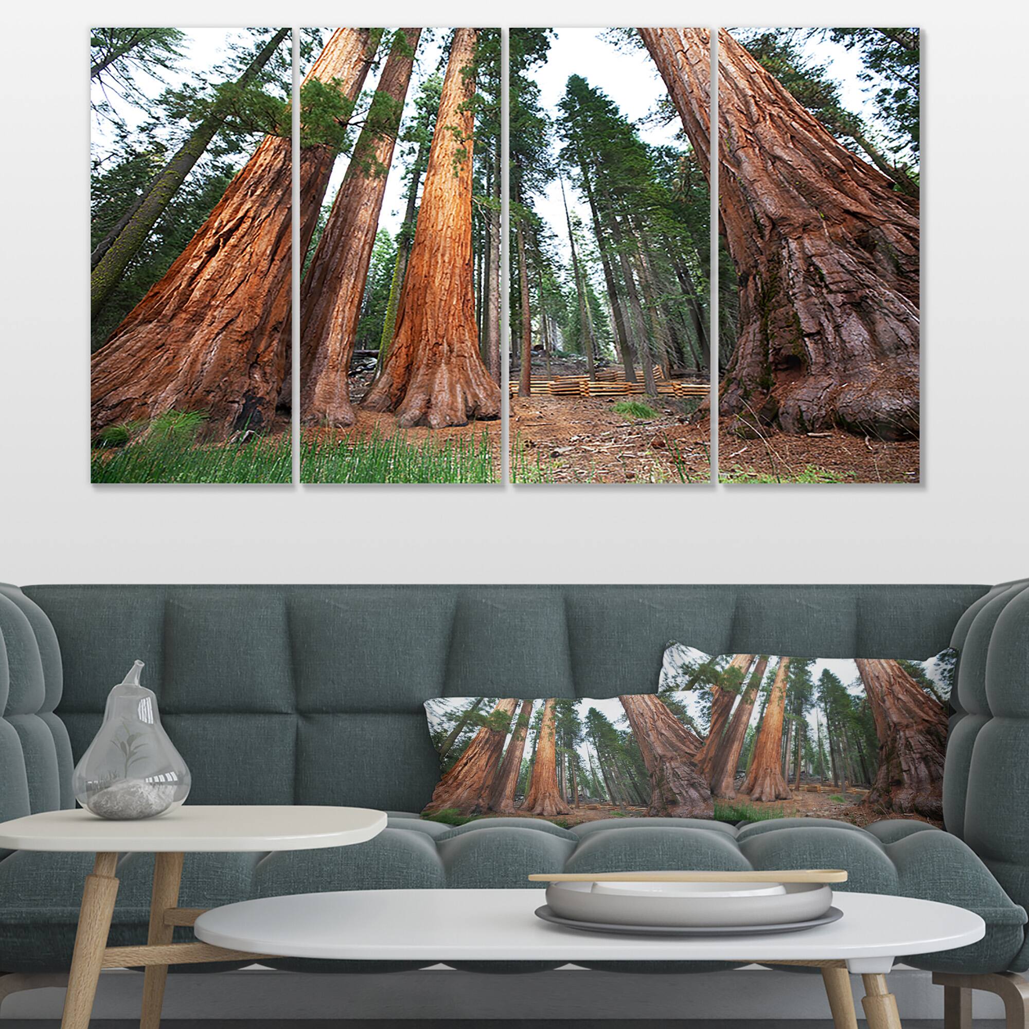 Designart - Three Large Sequoya Trees