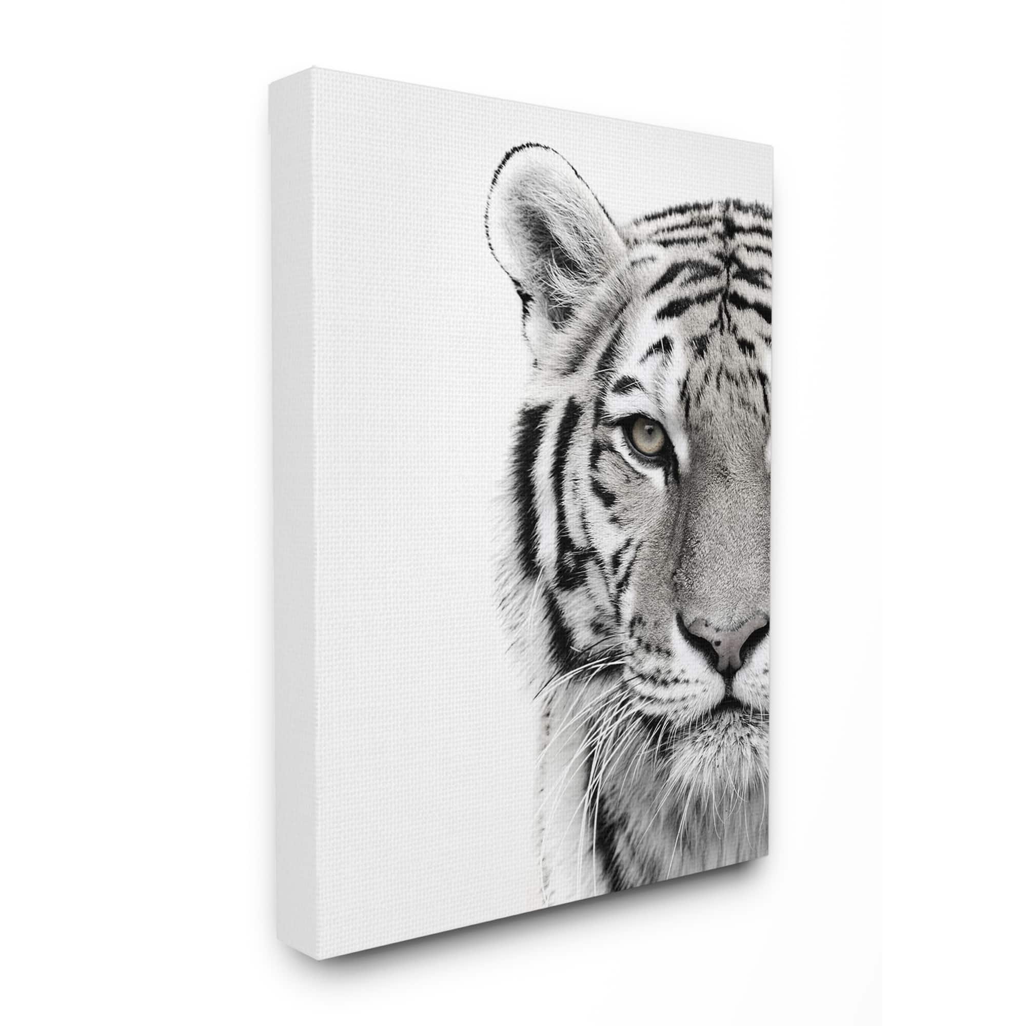 Stupell Industries White Tiger Black &#x26; White Photo Wall Accent