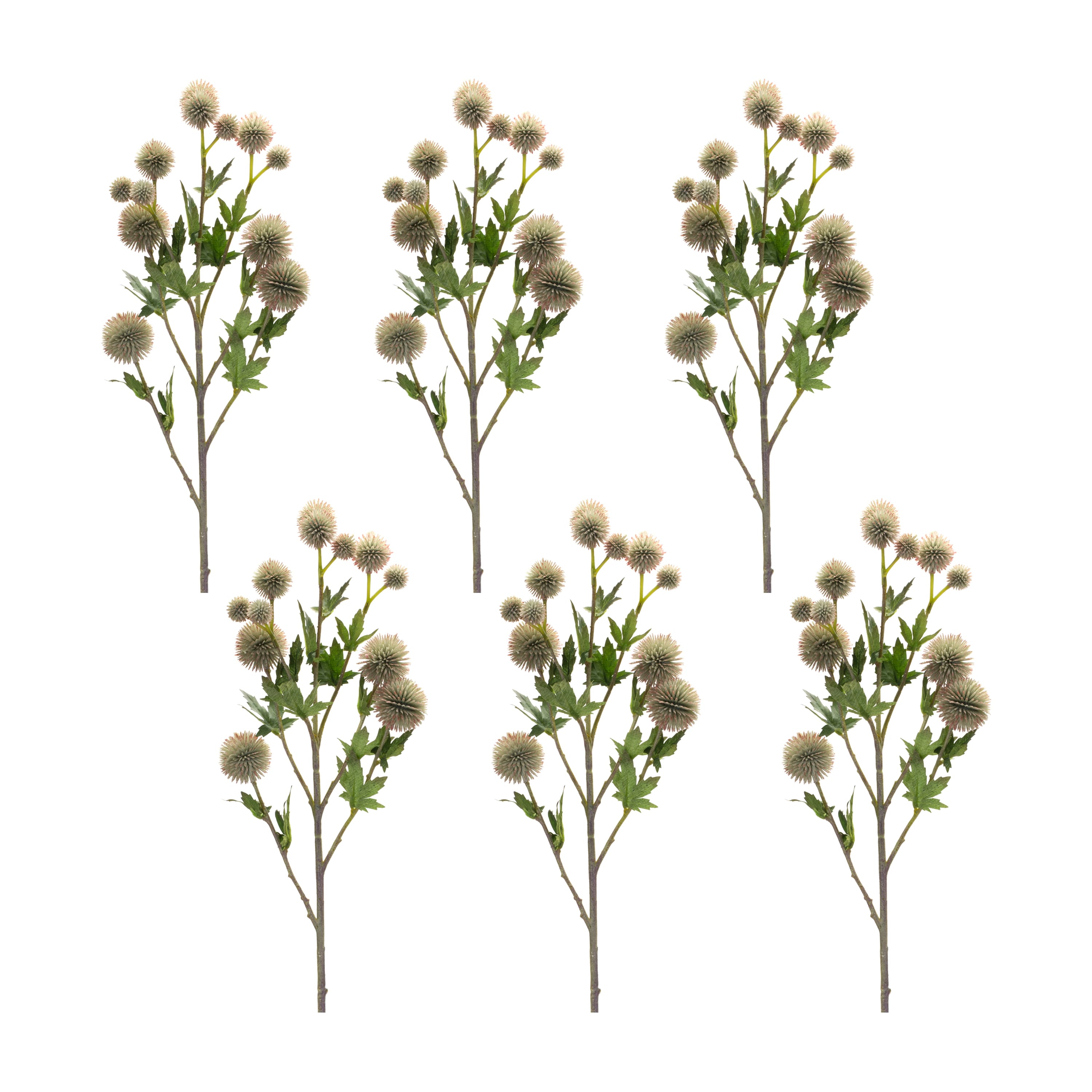 Sage Allium Spray, 6ct.