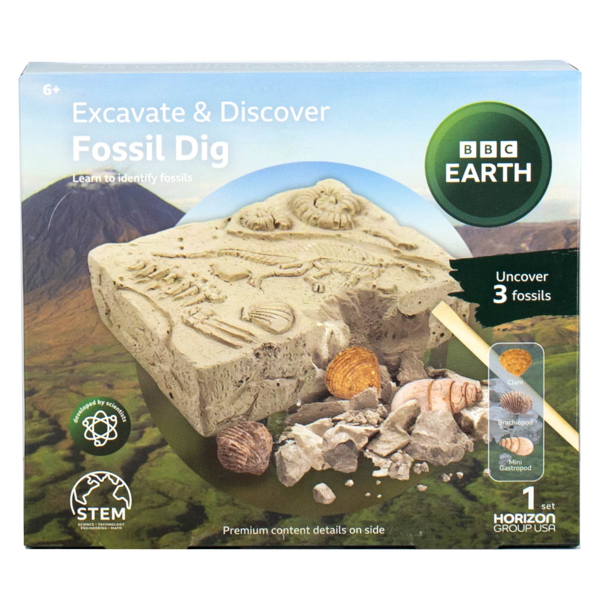 BBC Earth Excavate &#x26; Discover Fossil Dig