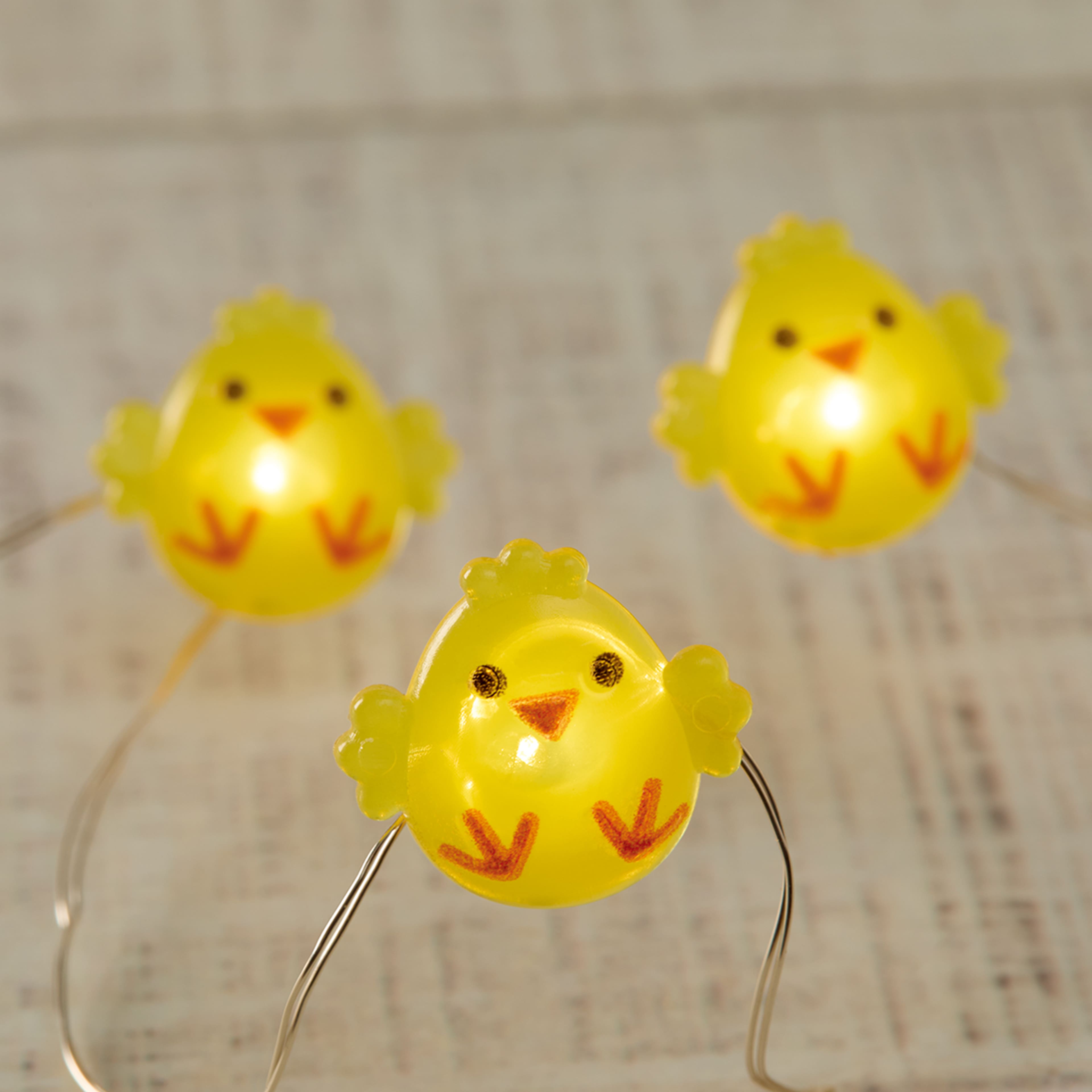 18ct. Warm White LED Chick String Lights by Ashland&#xAE;