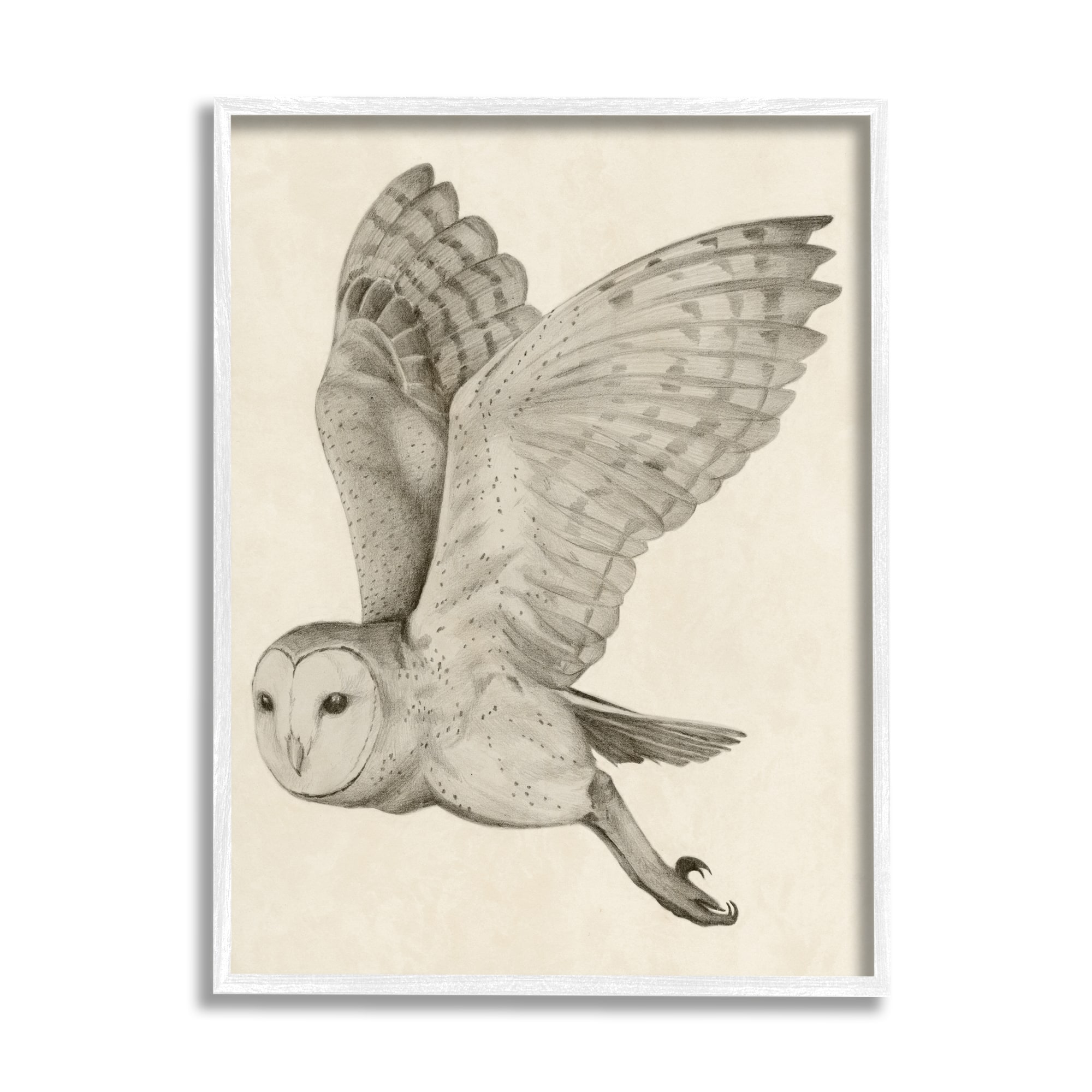 Stupell Industries Flying Barn Owl Wings Detailed Drawing Framed Giclee Art