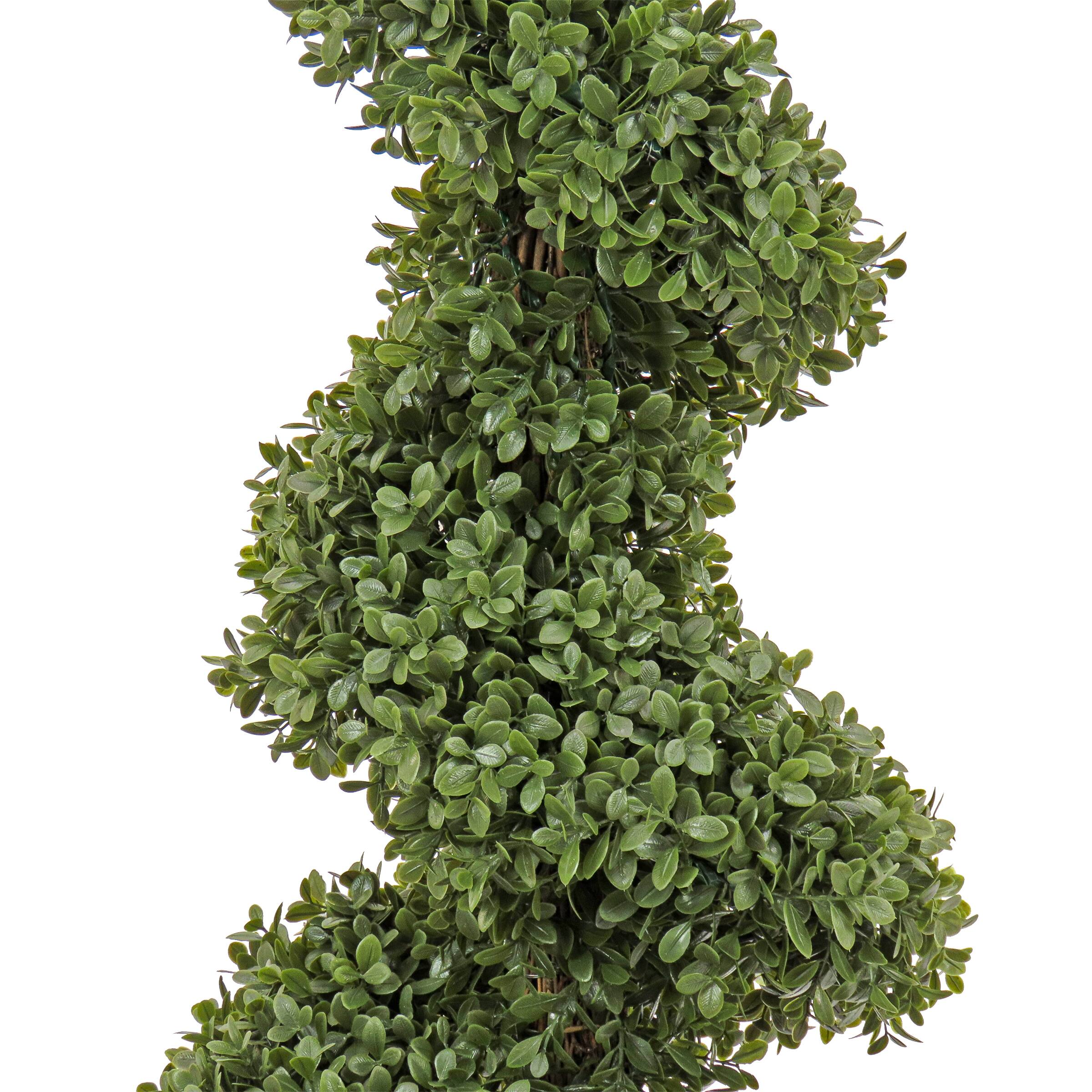 3.5ft. Boxwood Spiral Topiary