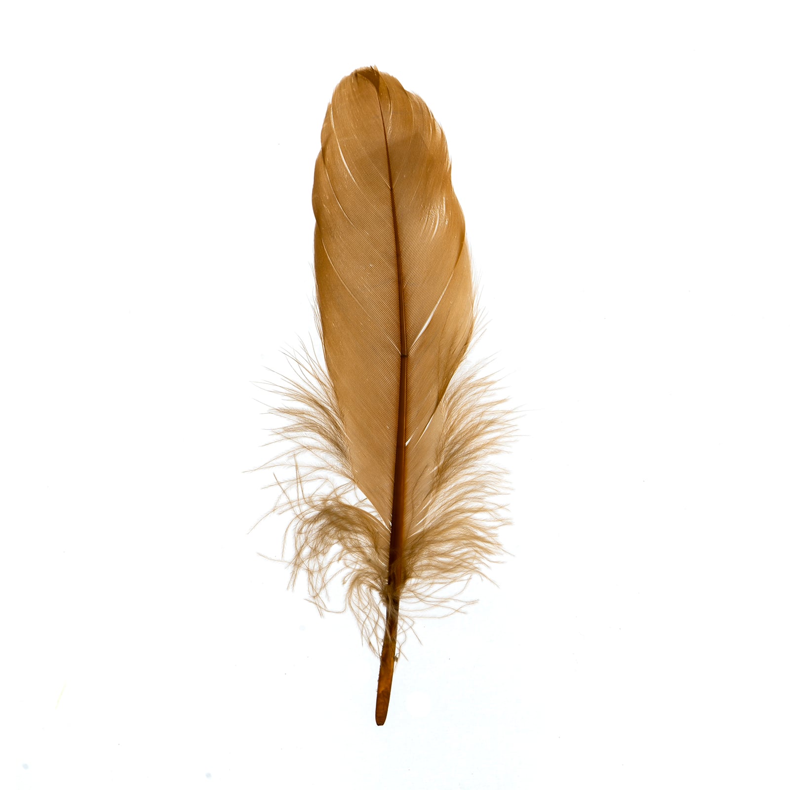flowerlower320design Brown Feather il_fullxfull.2771286898_ew3k.jpg