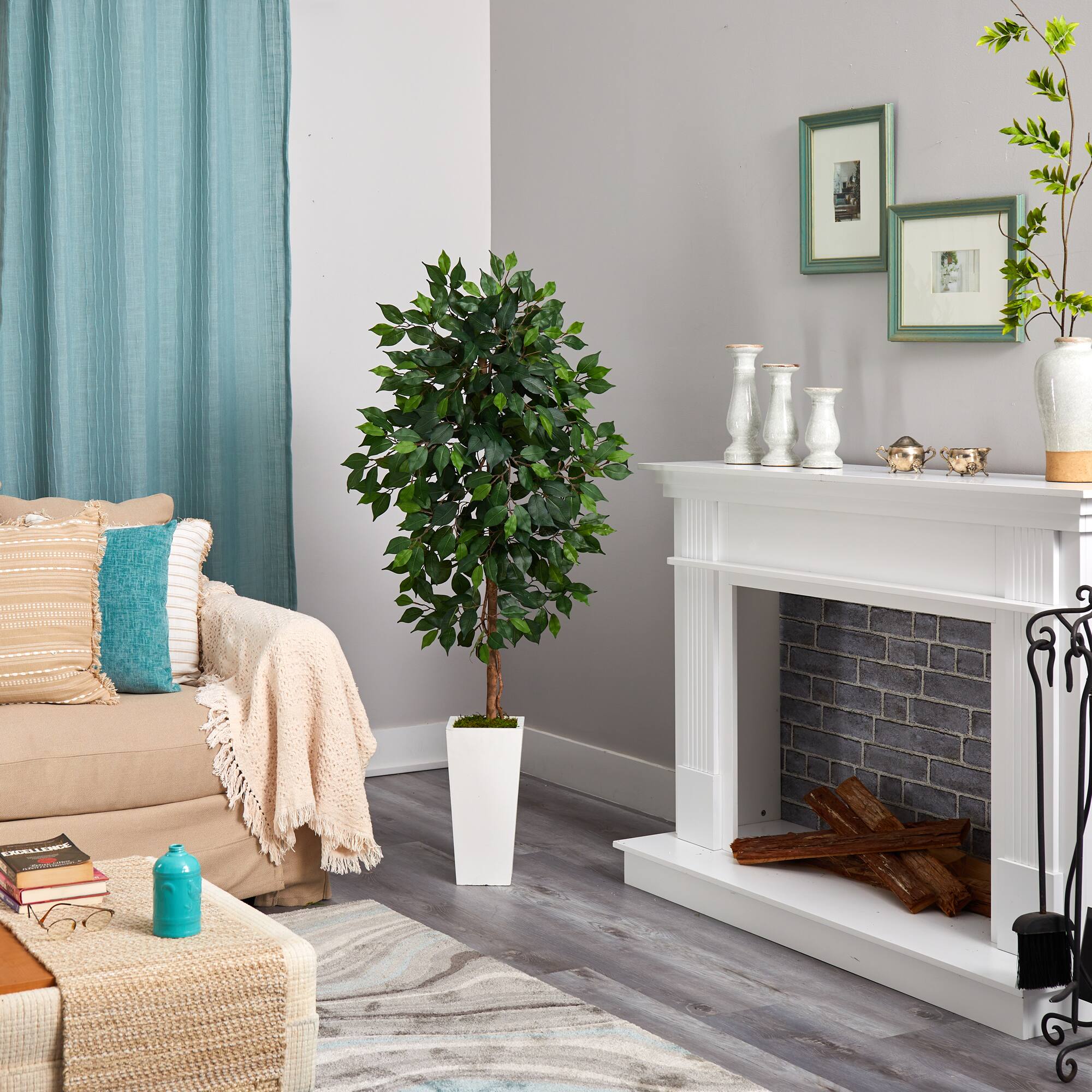 4.5ft. Ficus Tree in White Planter