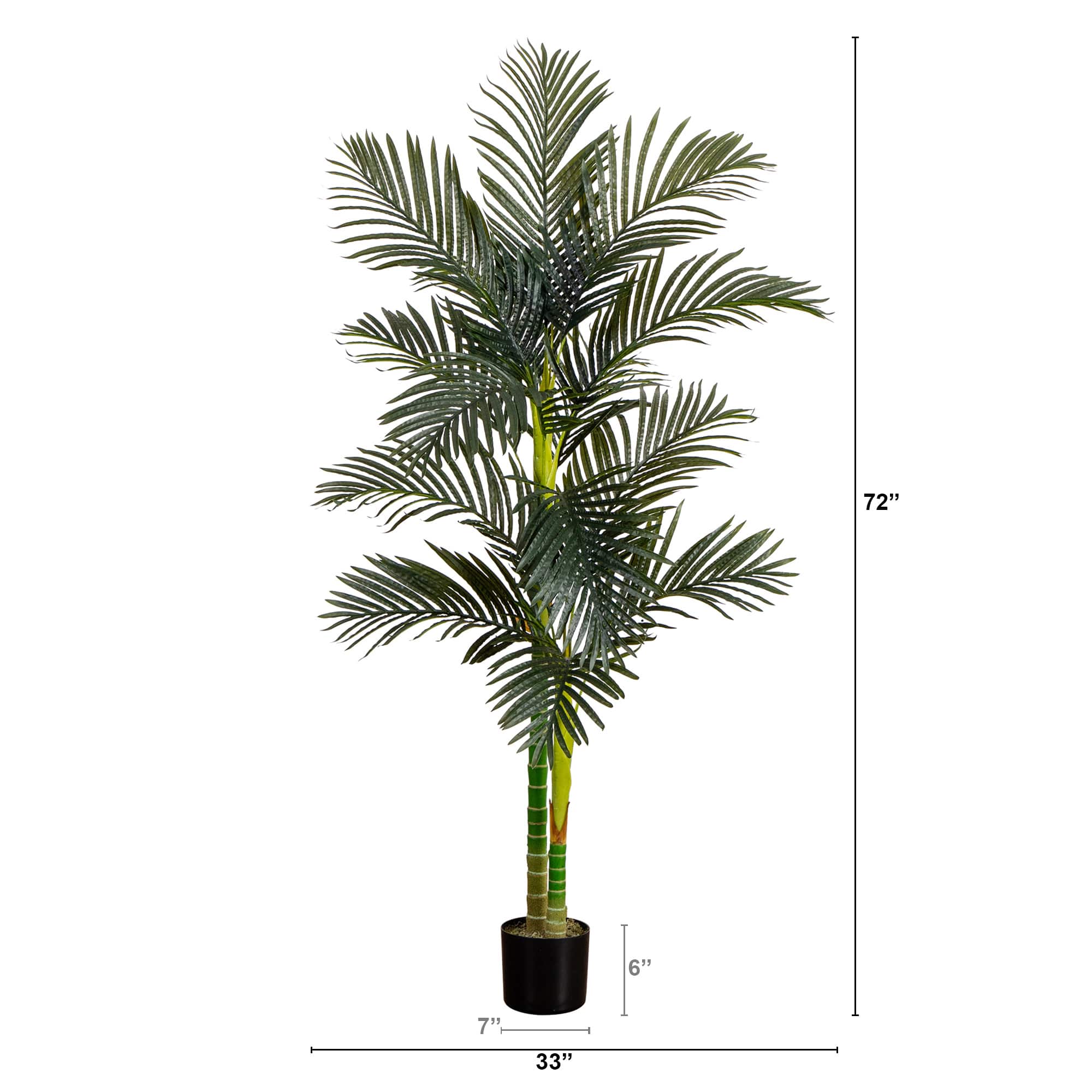 6ft. Potted Double-Stalk Golden Cane Palm Tree