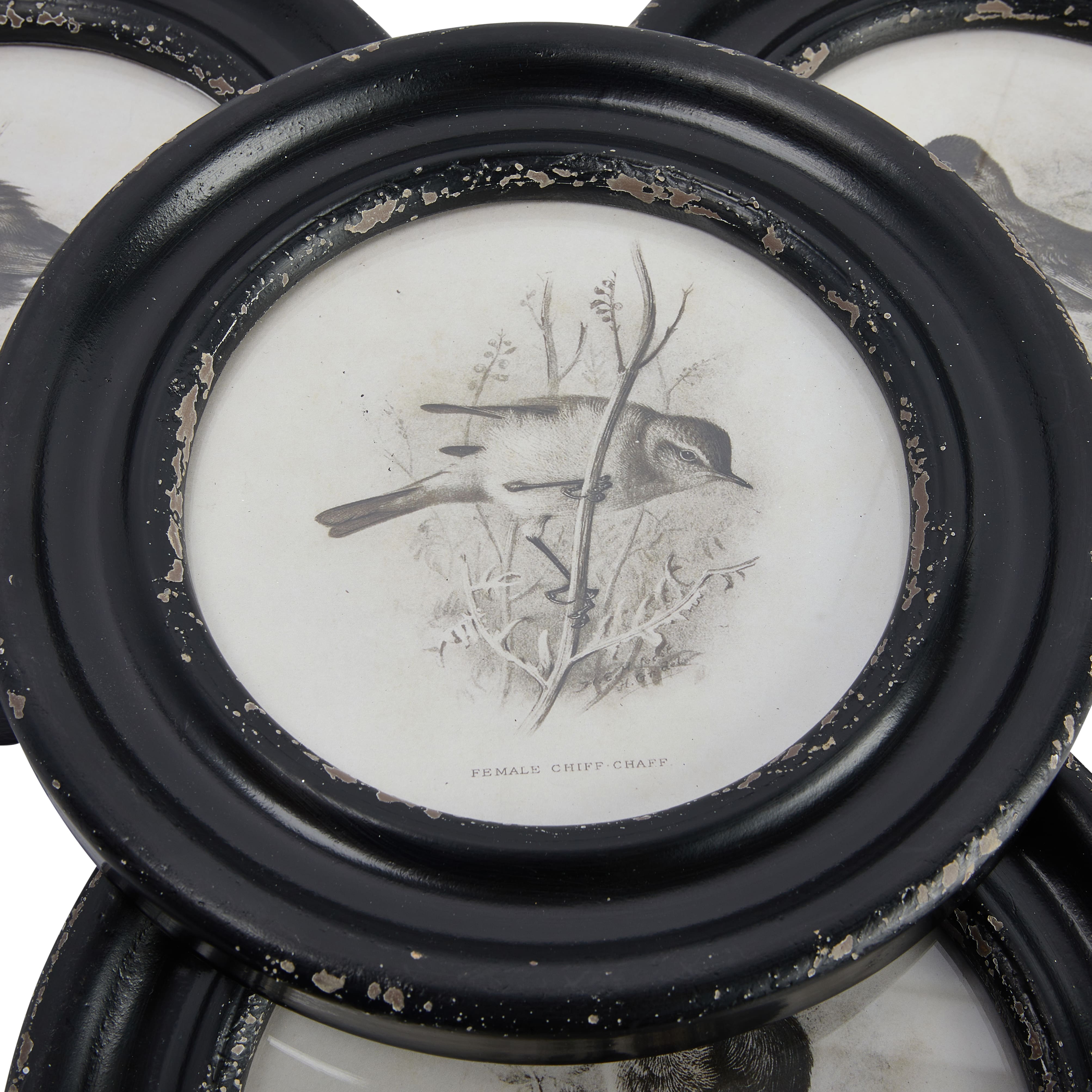Hello Honey&#xAE; Round Bird Print Wood Framed Set