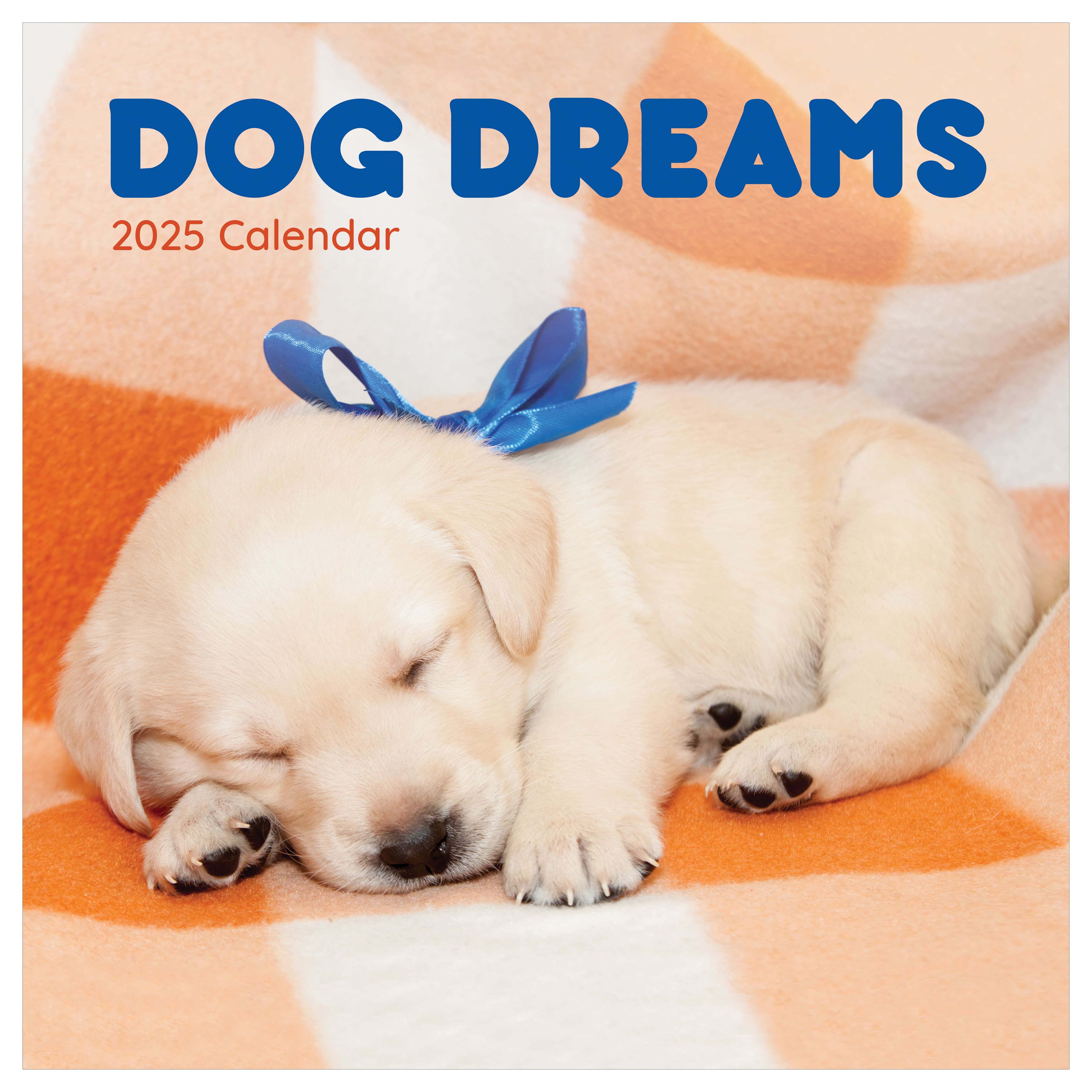 TF Publishing 2025 Dog Dreams Wall Calendar