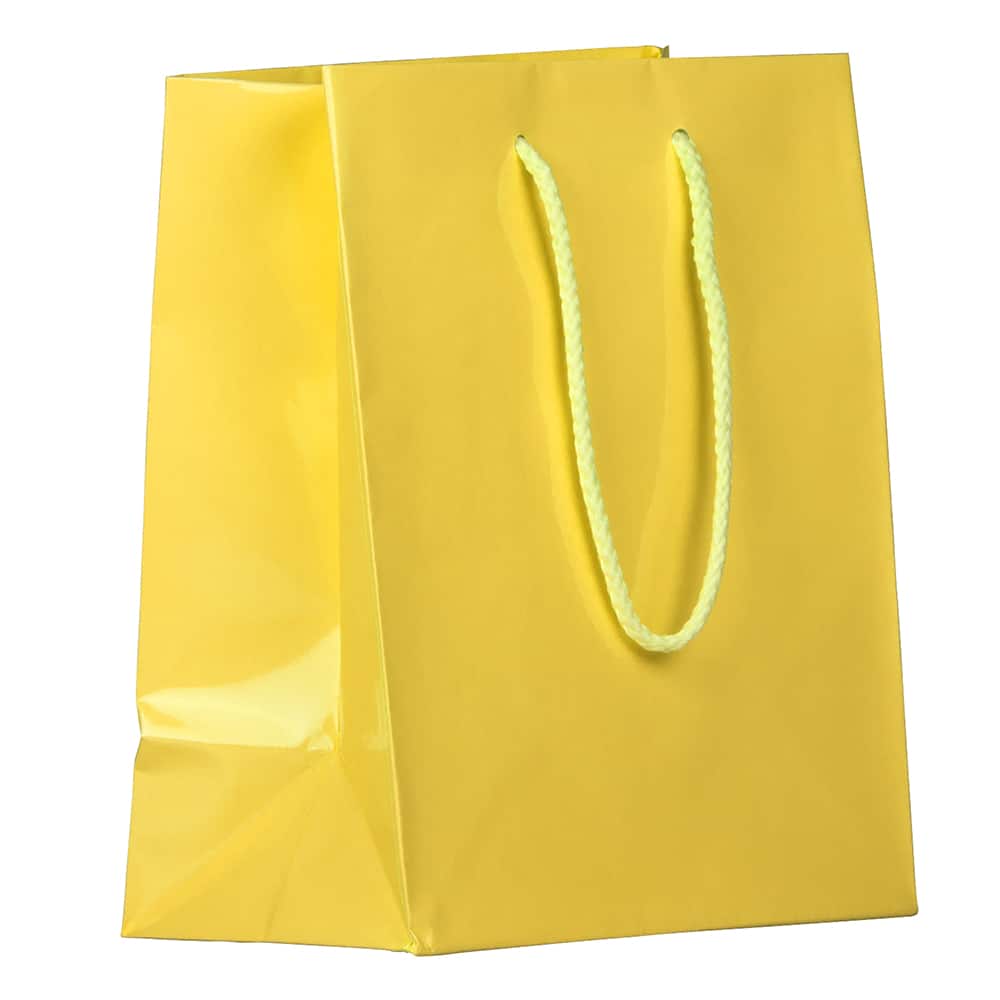 Download Jam Paper Medium Glossy Gift Bags 3ct Michaels