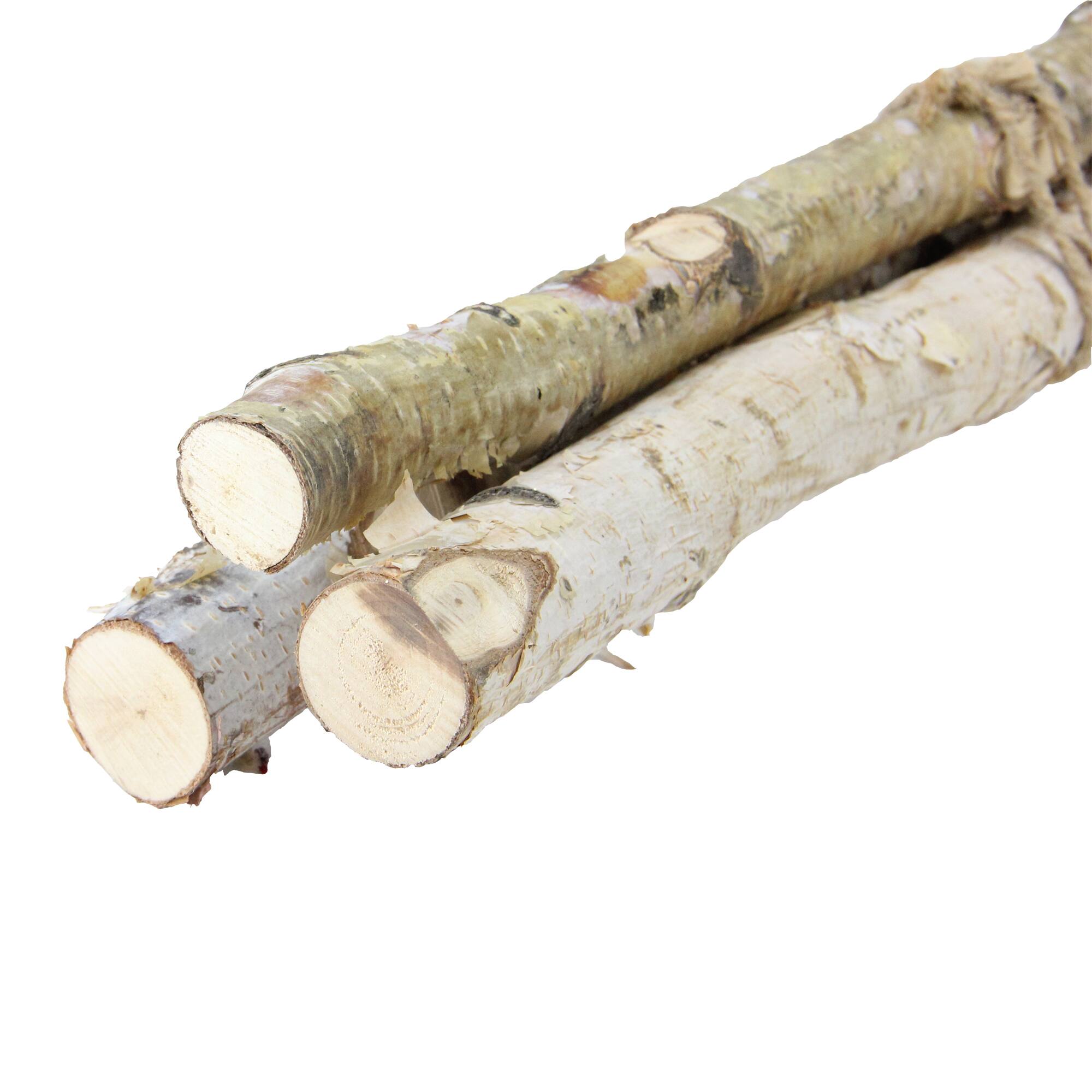 Brown Birch Wood Branch Bundle, 3ct.