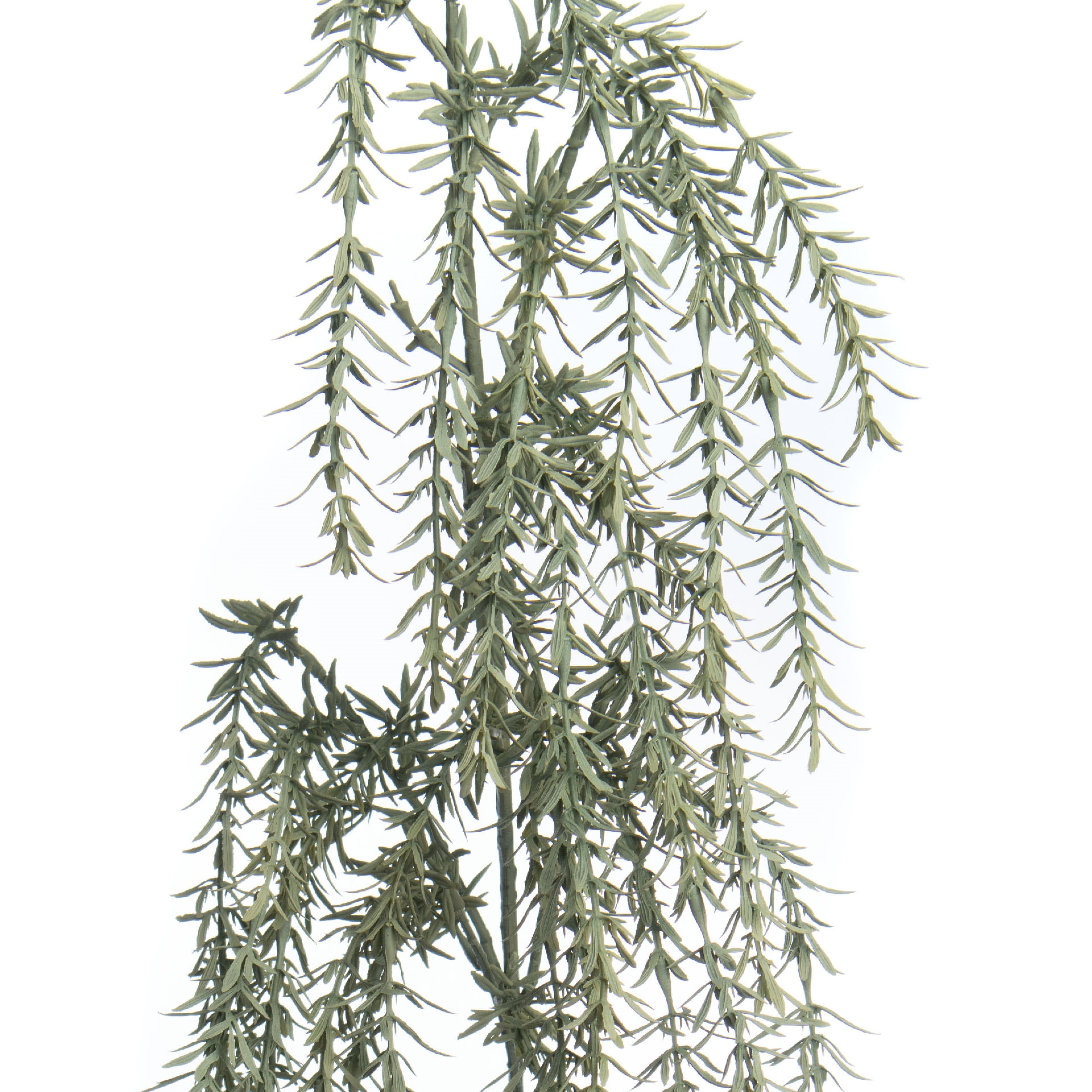 Green Dripping Rosemary Stem by Ashland®