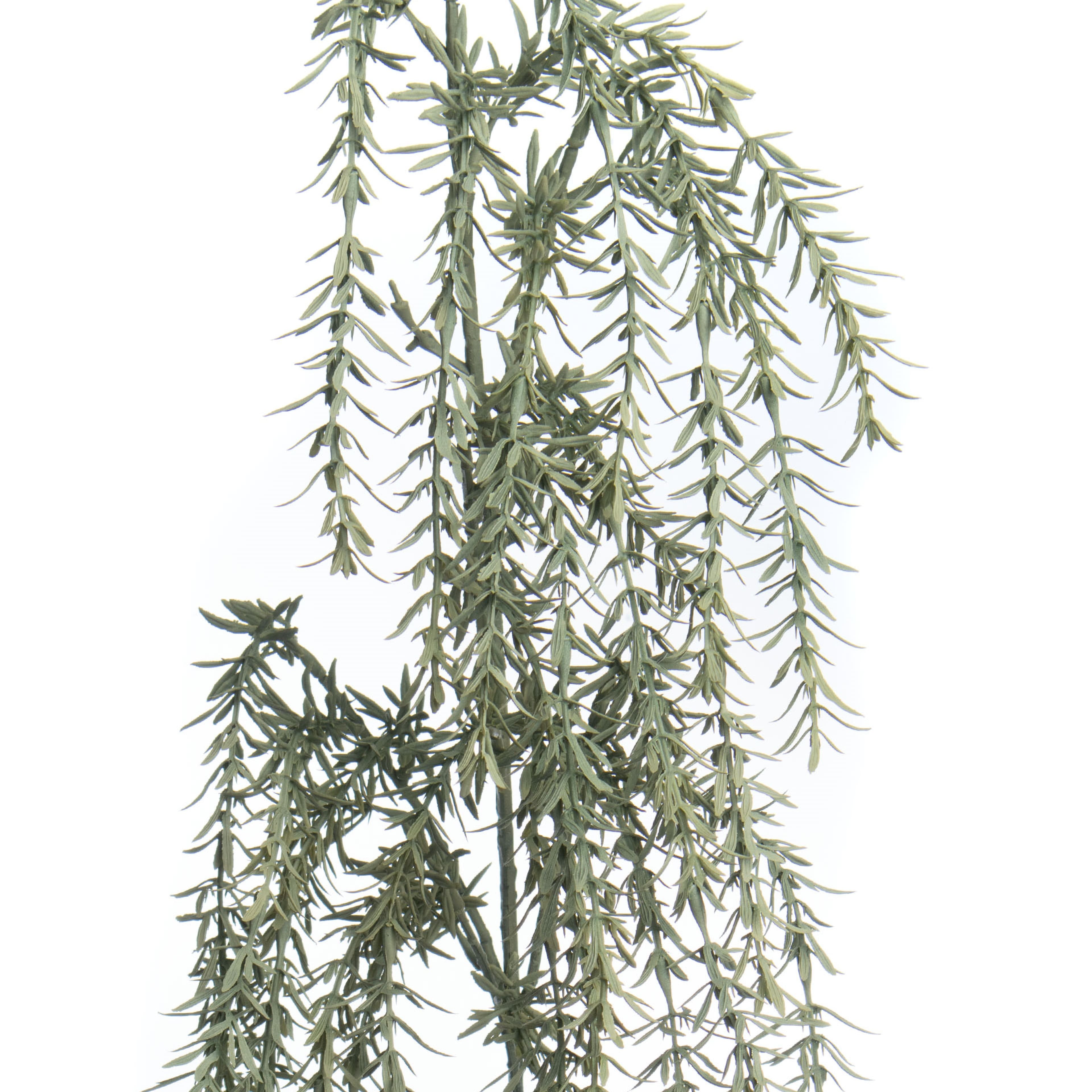 Green Dripping Rosemary Stem by Ashland&#xAE;