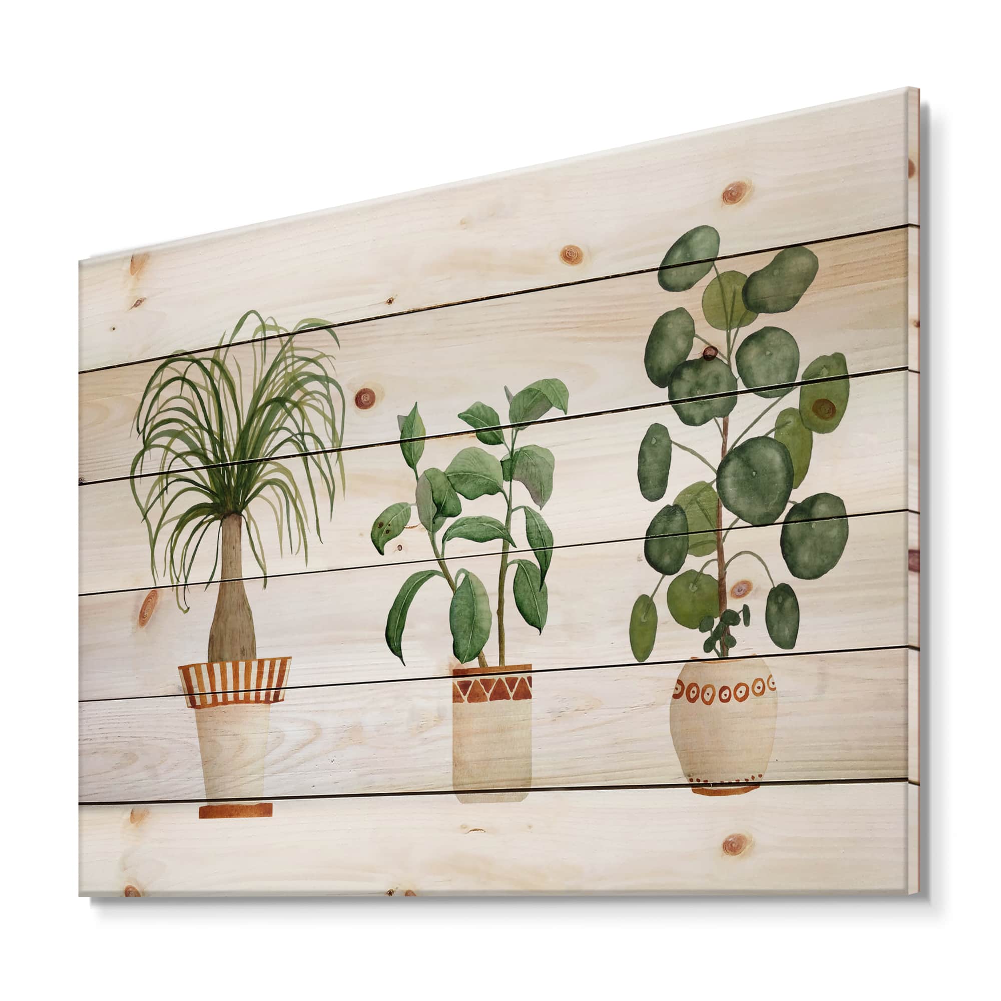 Designart - Trio of House Plants Ponytail Palm and Ficus - Traditional Print on Natural Pine Wood