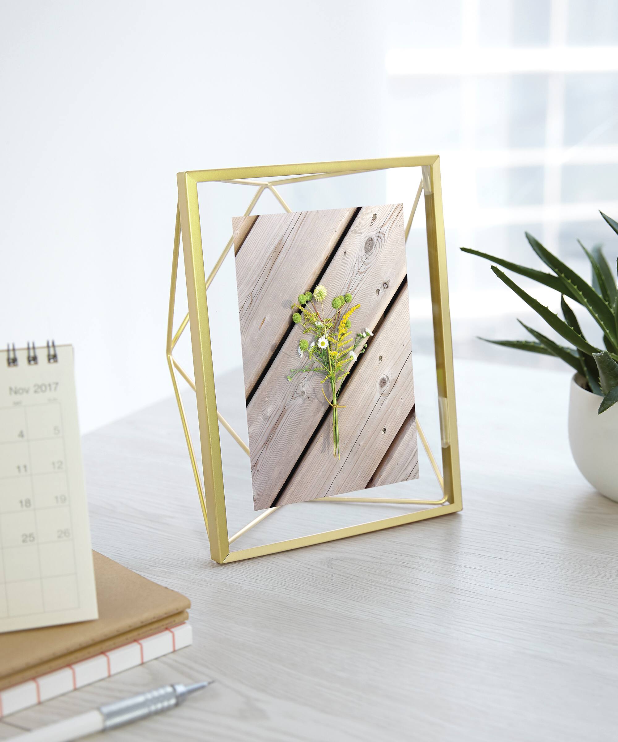 Gold Prism Float Frame, Expressions&#x2122; by Studio D&#xE9;cor&#xAE;