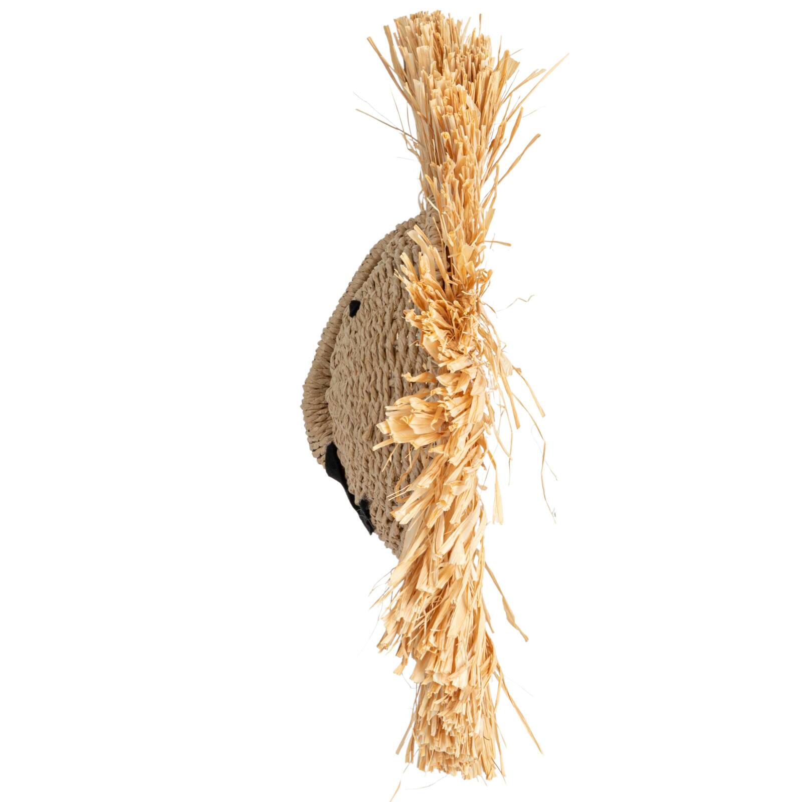 Hello Honey&#xAE; 16.5&#x22; Natural Savannah King Raffia Lion Wall Art