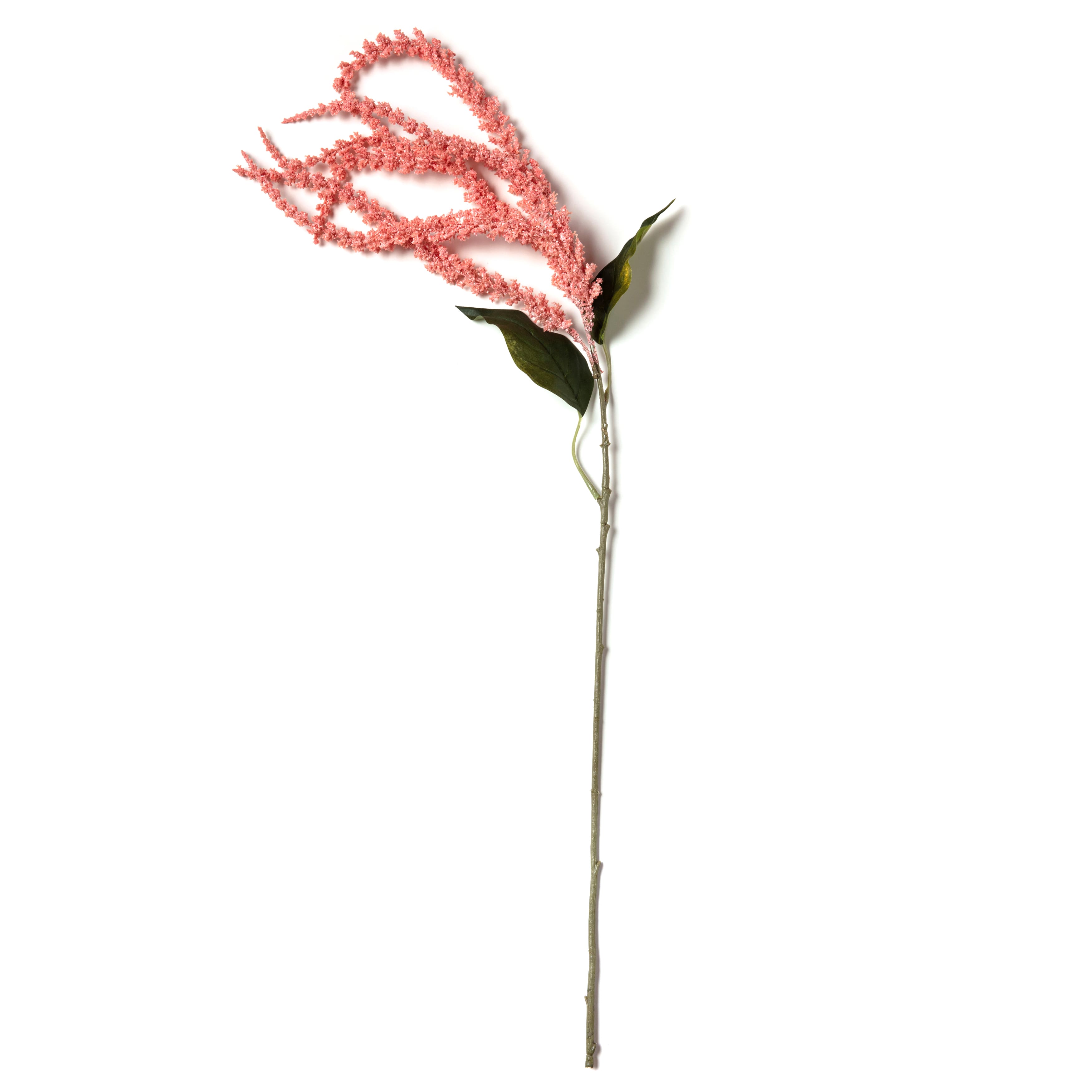 Pink & Cream Amaranthus Stem By Ashland®