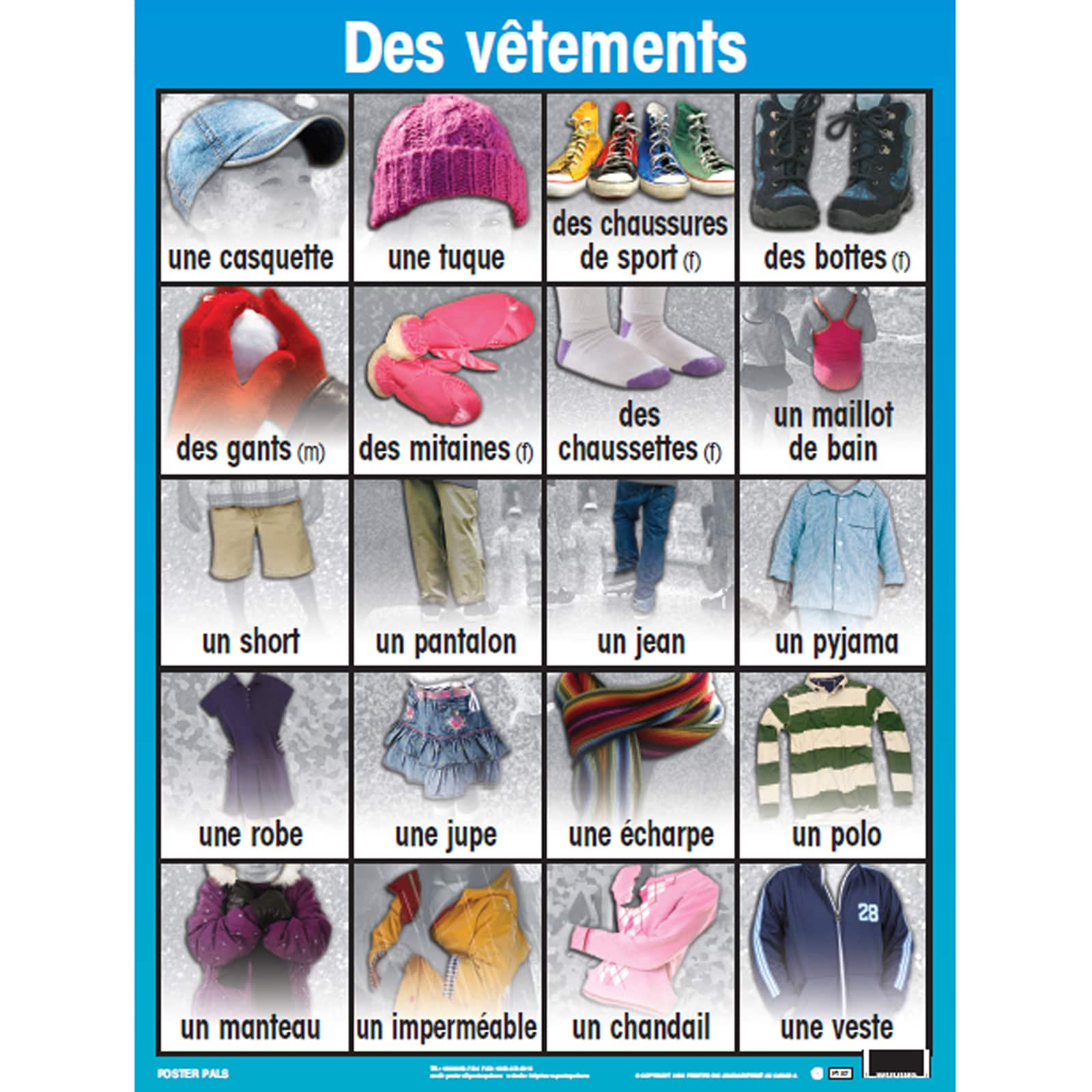 Poster Pals&#xAE; French Essential Classroom Posters, 7ct.