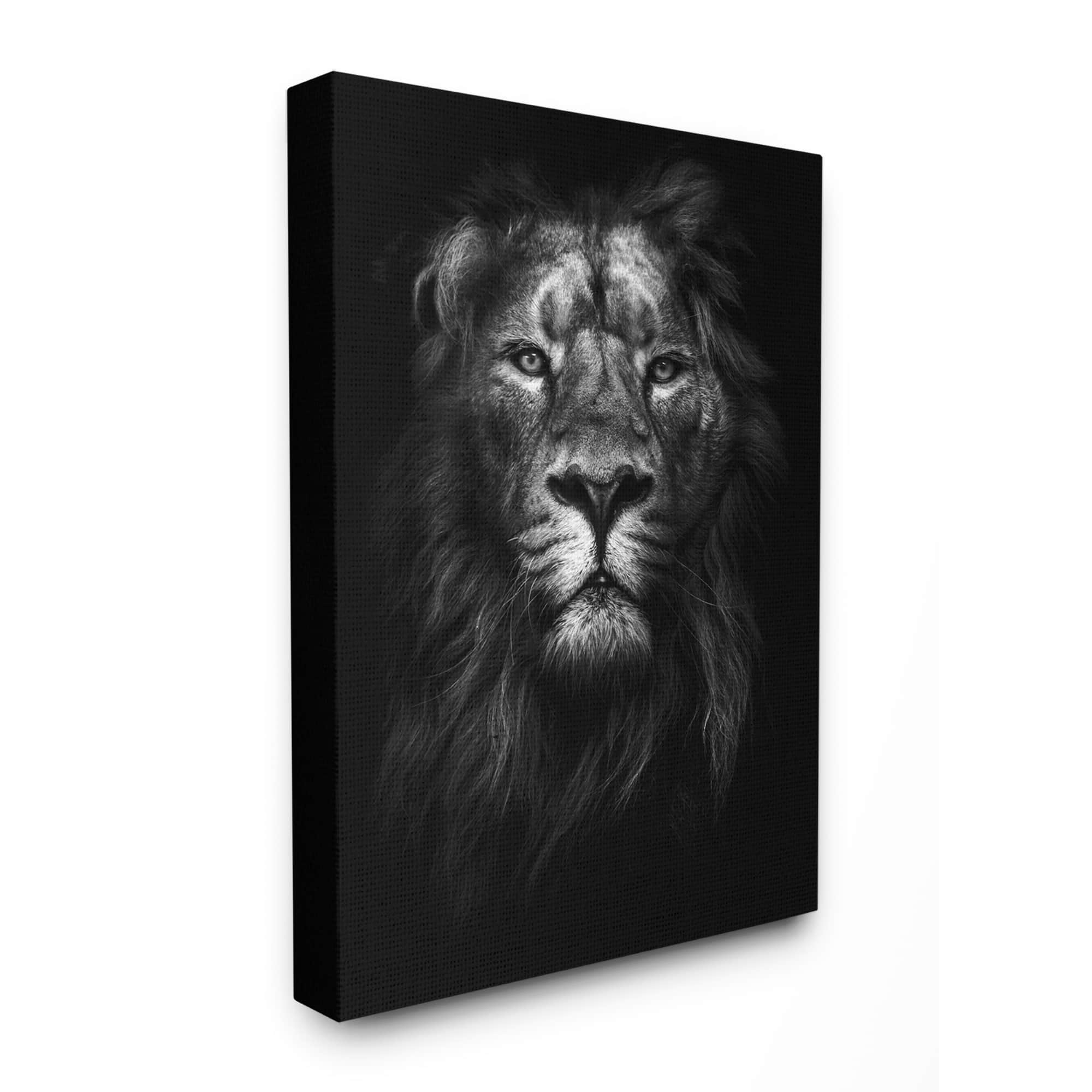 Stupell Industries King Of The Jungle Lion Portrait Canvas Wall Art