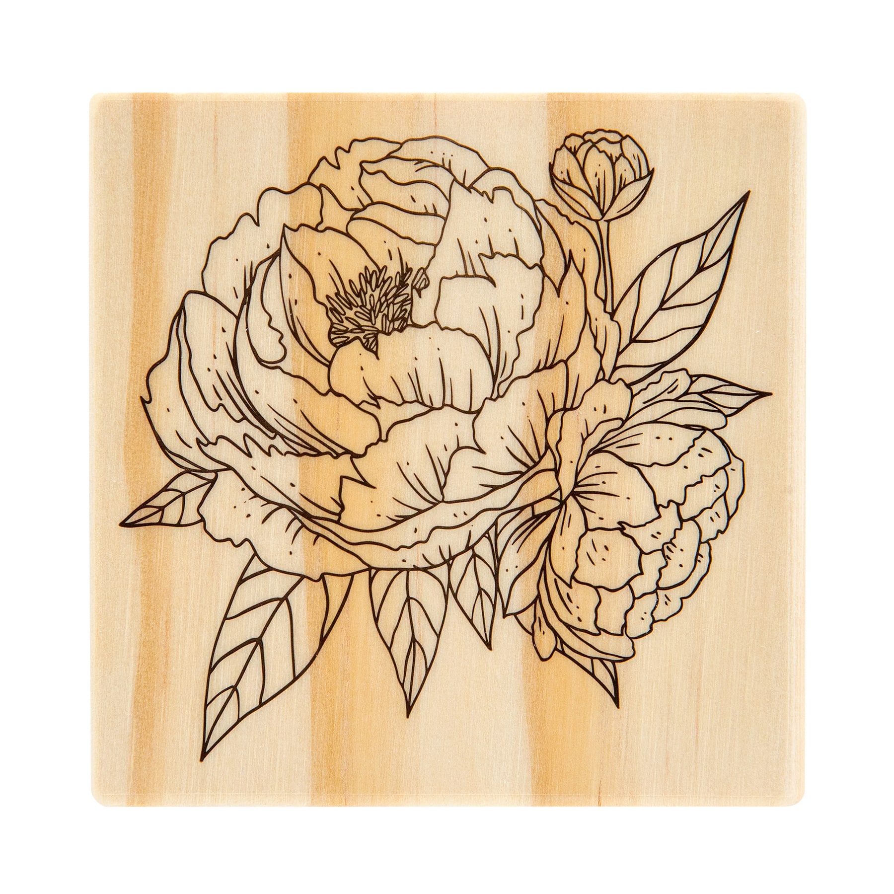 6 Pack: Peony Stamp by Recollections&#x2122;