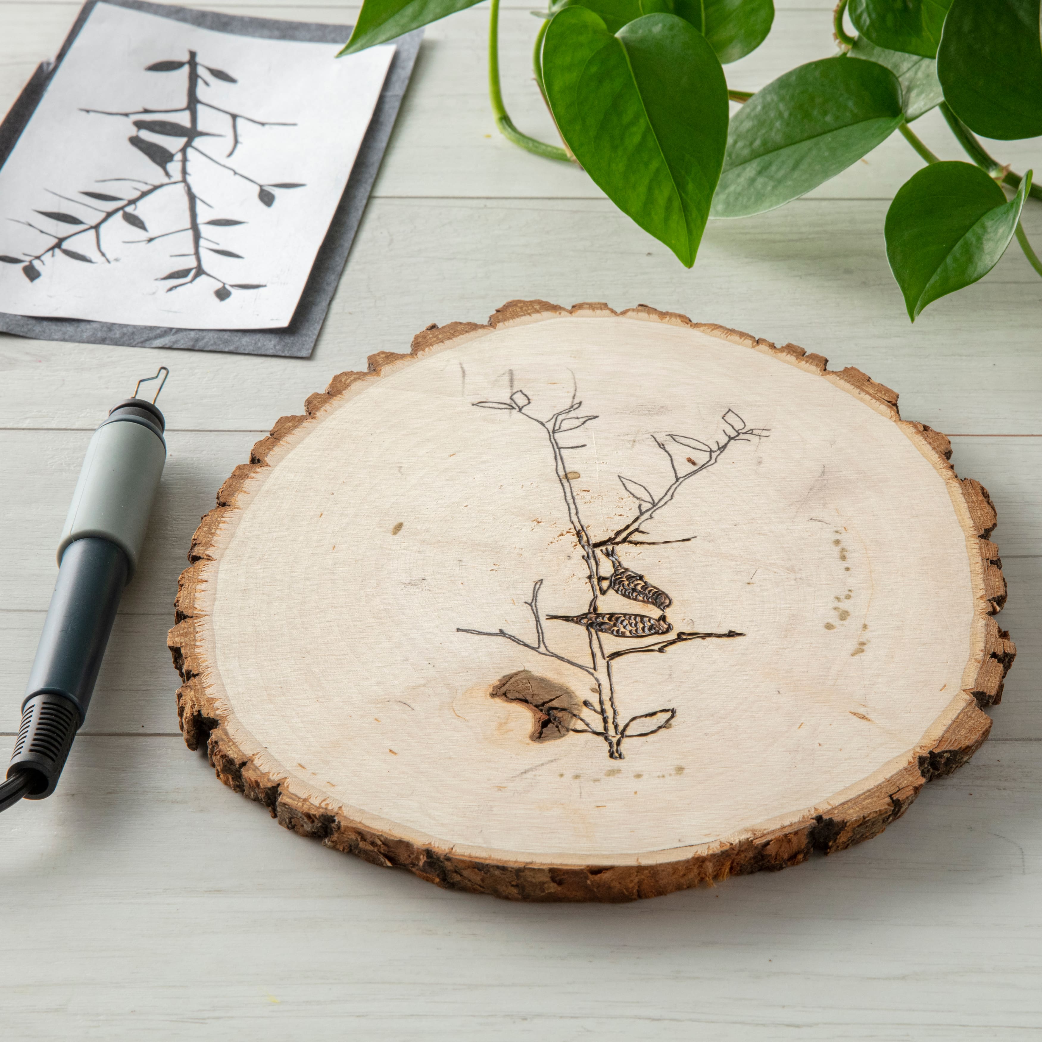 12 Pack: Basswood Round by Make Market&#xAE;