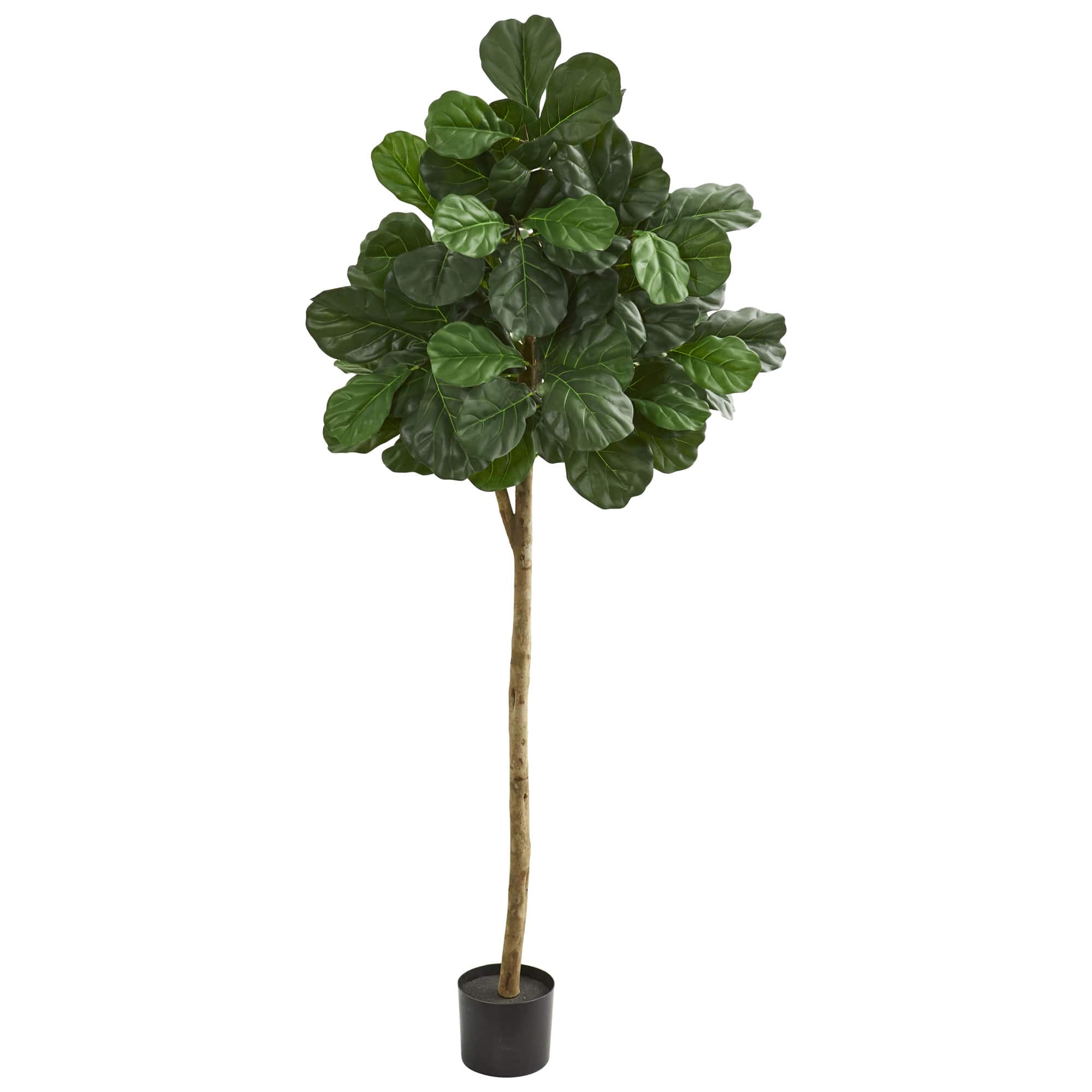 6ft. Potted Fiddle leaf Fig Artificial Tree