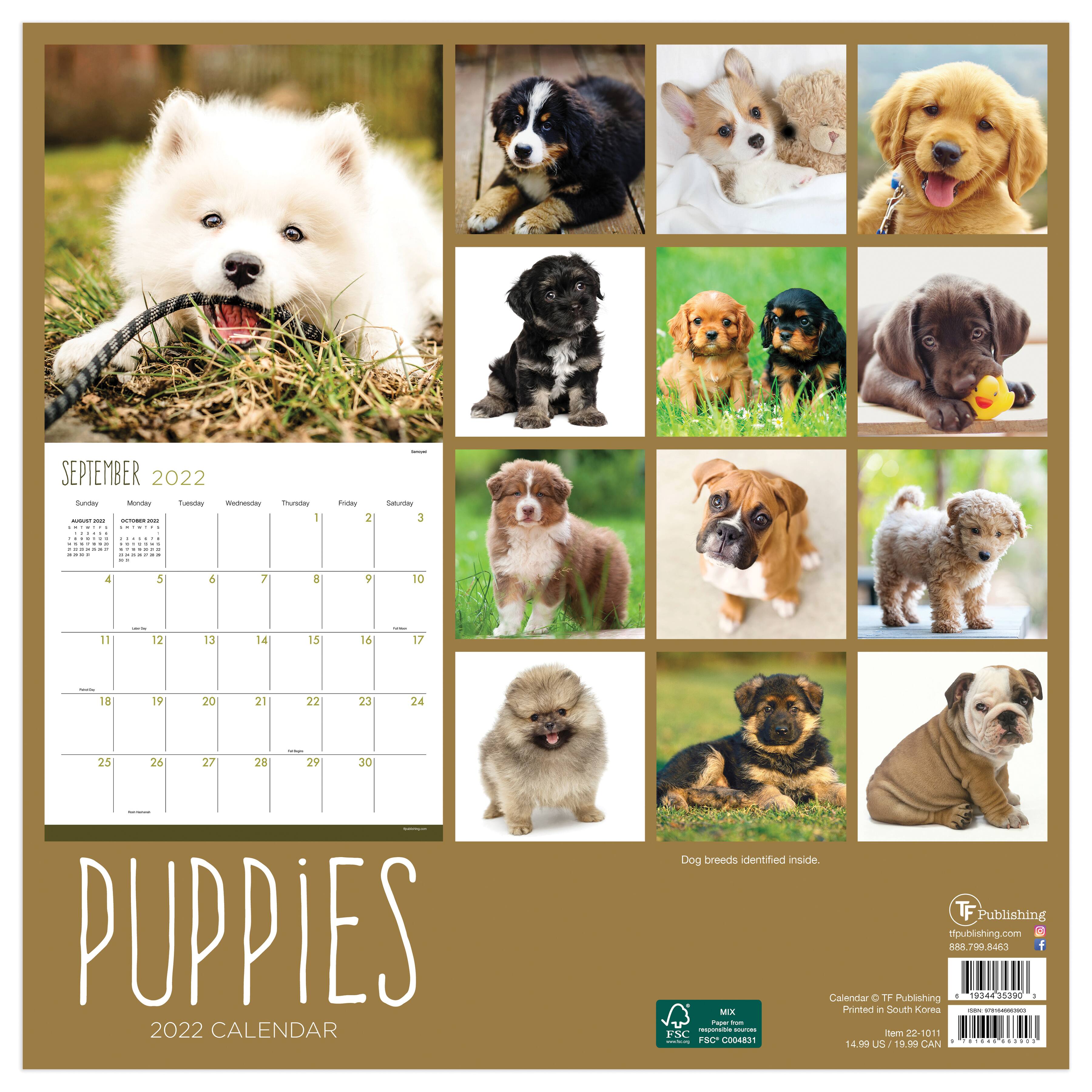 Tf Publishing 2022 Puppies Wall Calendar Michaels Puppy Costume 2022 Calendar