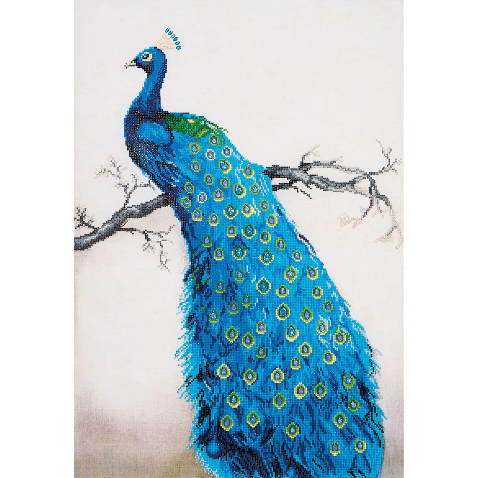 Canvas Art Paint Set Peacock