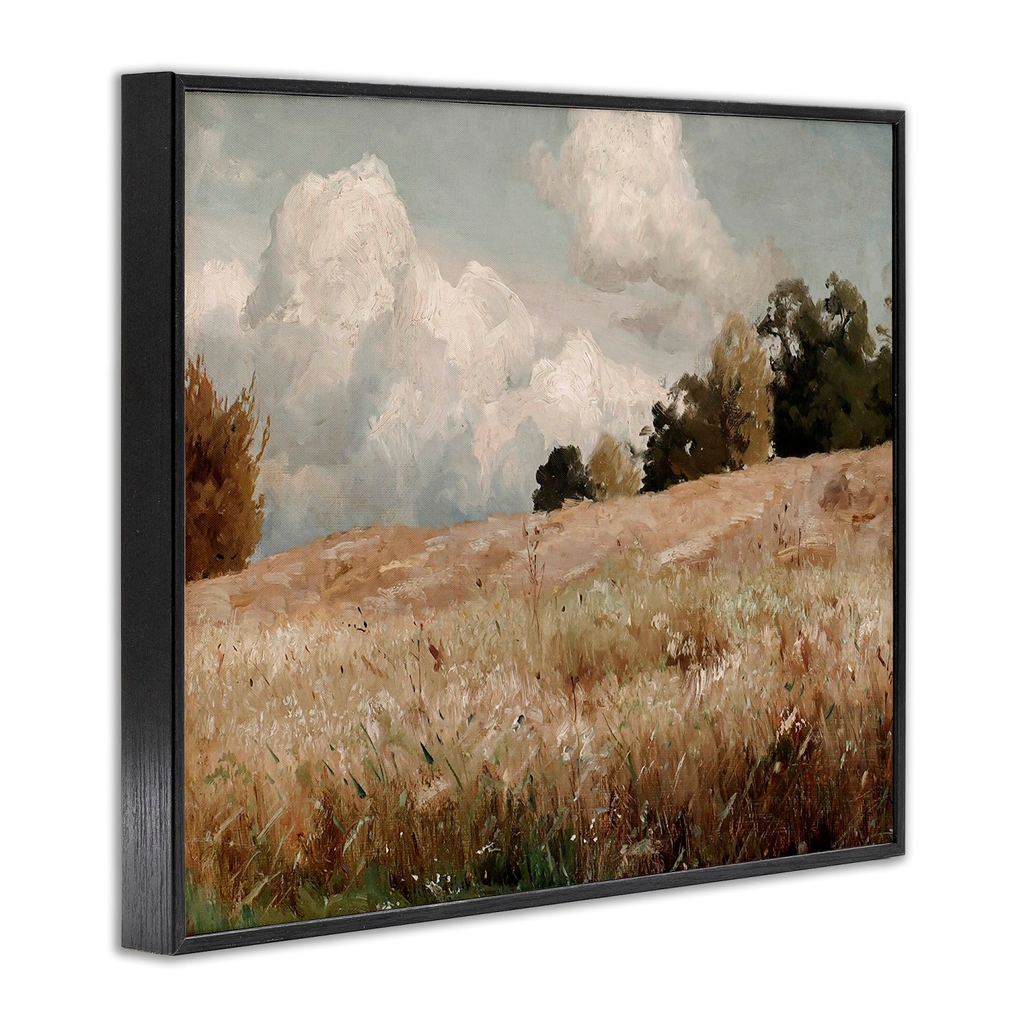 Stupell Industries Classic Cloudy Field Landscape Framed Giclee Art