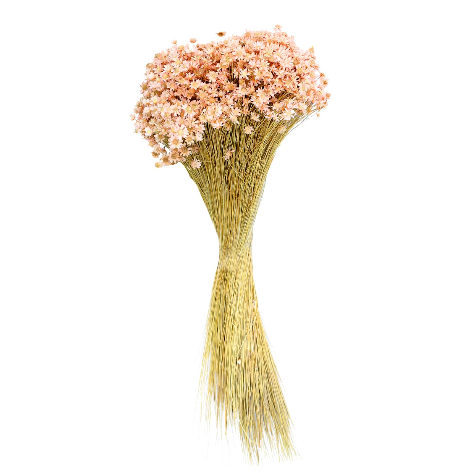60Pcs Dried Bunny Tail Grass Small Natural Dry Grass Dried Pink Flowers  Bouquet Wedding Dry Flower Bunch for Home Garden Party Decor Flower