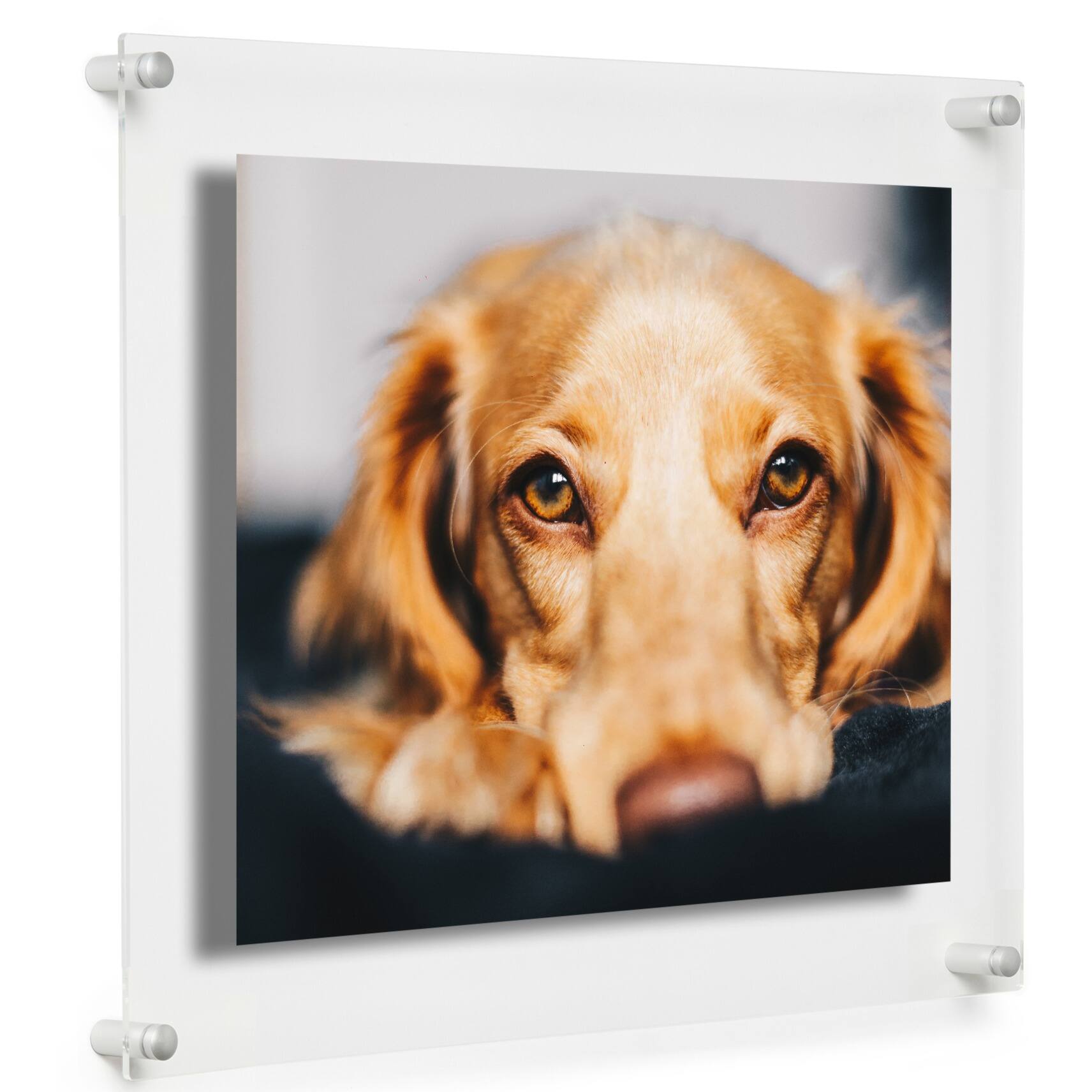 Cool Modern Frames 2 Pack Clear Acrylic Float Frame with Silver Hardware