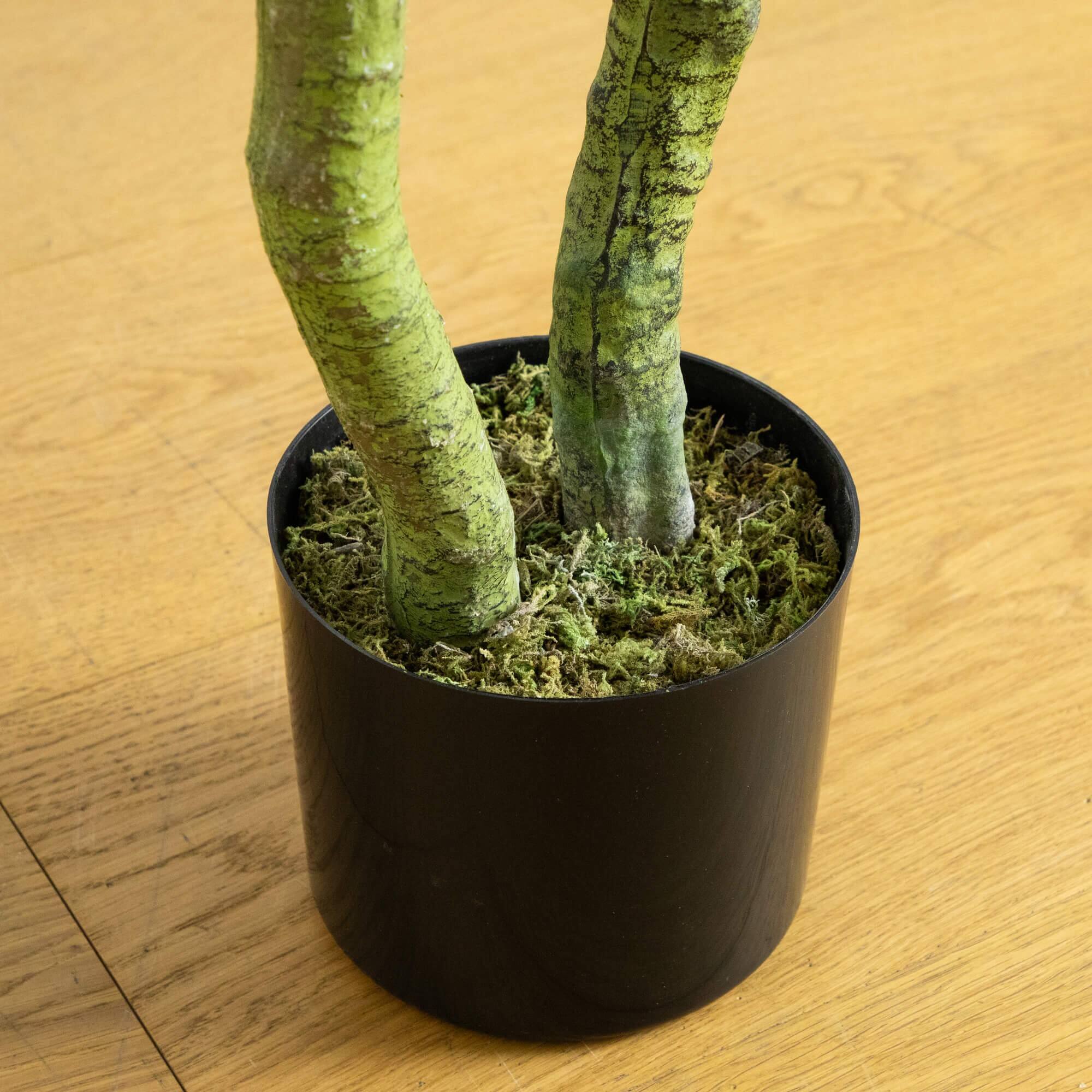 4ft. UV Resistant Artificial Bird Nest Fern Tree (Indoor/Outdoor)