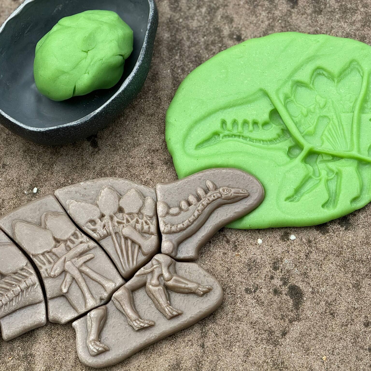 Yellow Door Dig & Discover Pliosaur & Stegosaurus Dinosaur Skeletons Set