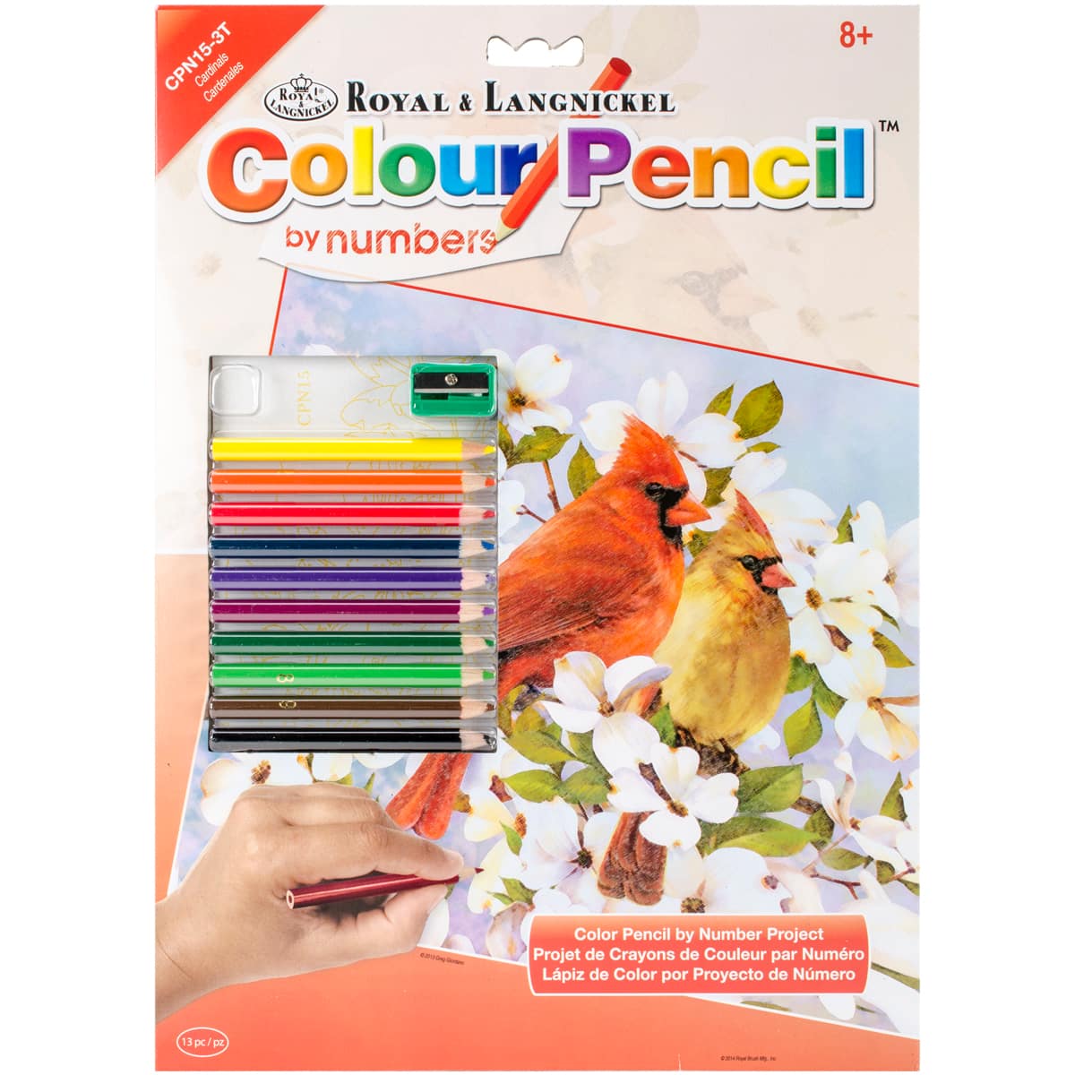 Royal &#x26; Langnickel&#xAE; Cardinals Colour Pencil&#x2122; by Number Kit