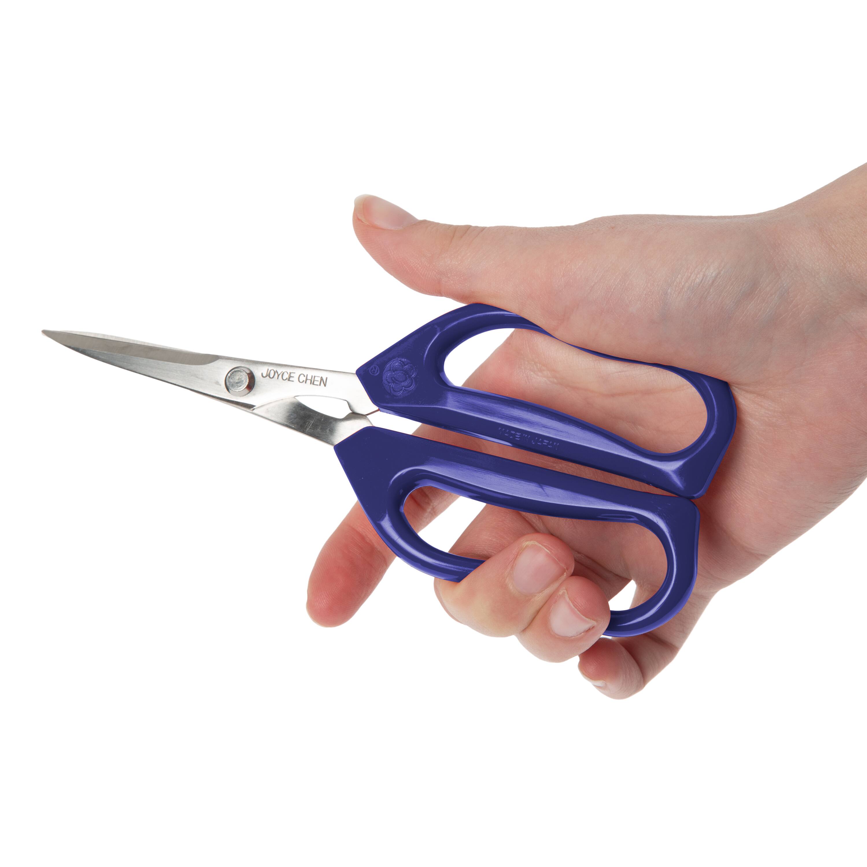 Honey Can Do 2 Pack Joyce Chen Original Unlimited Kitchen Scissors