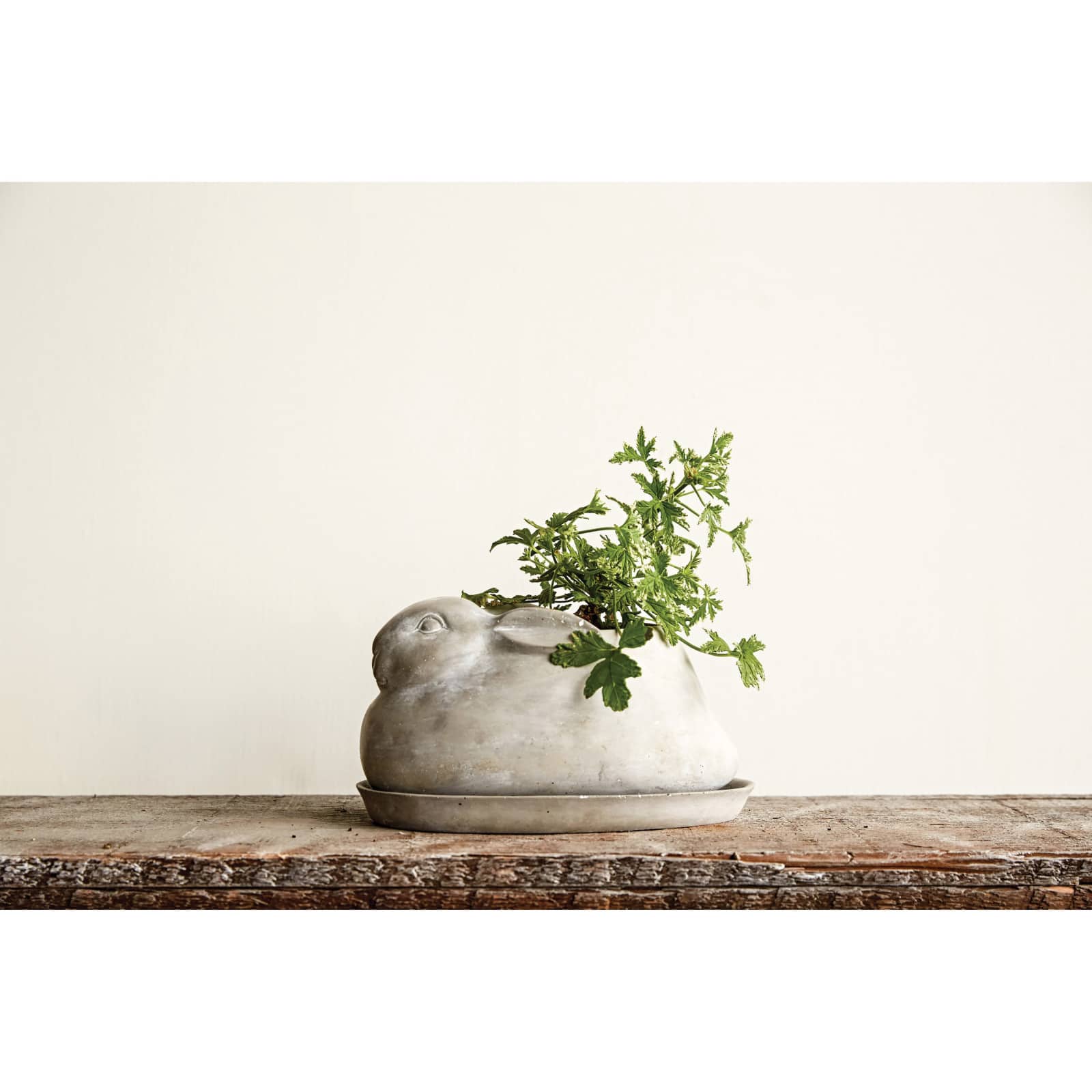 Hello Honey&#xAE; 5&#x22; Cement Rabbit Planter with Saucer