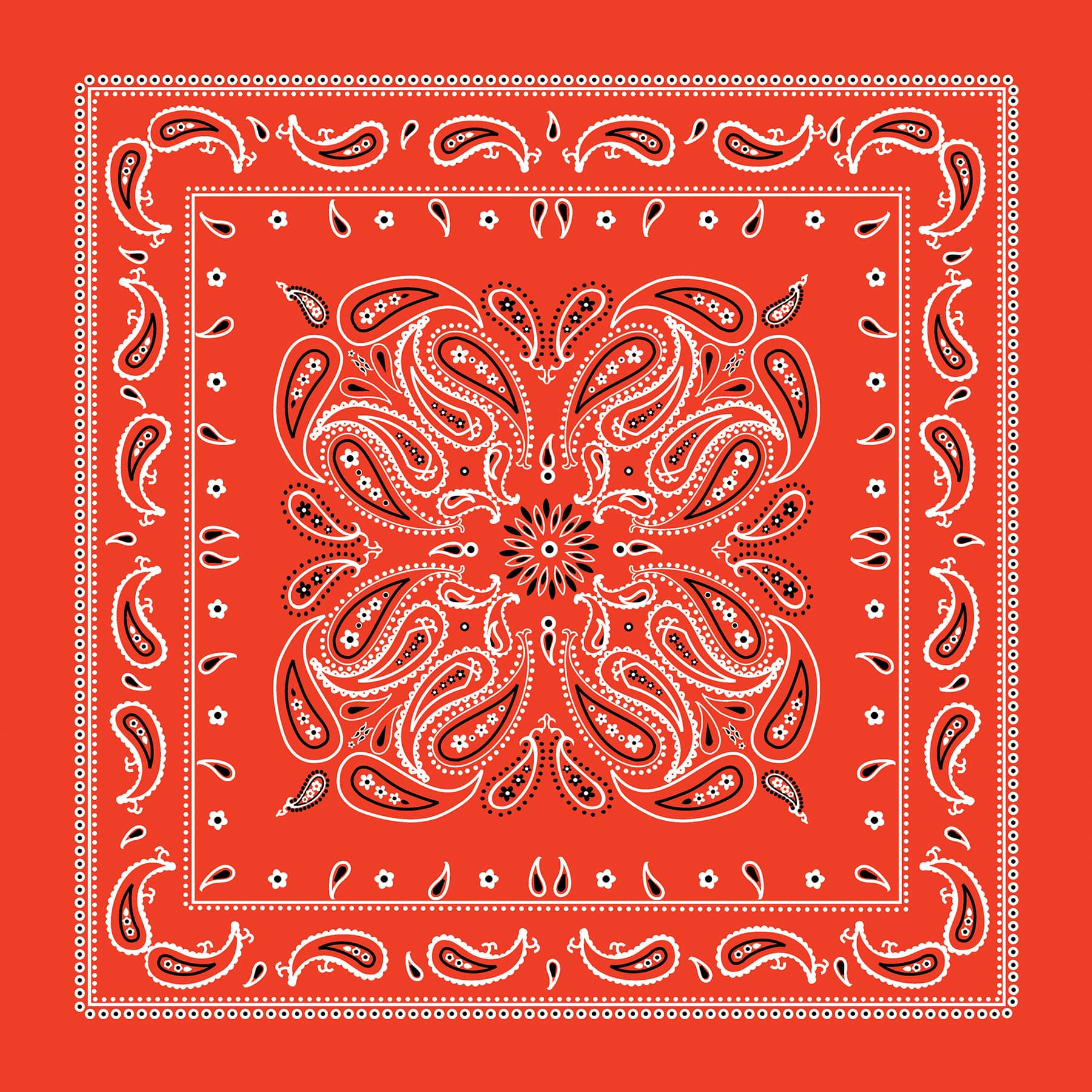 Paisley Bandana by Make Market®