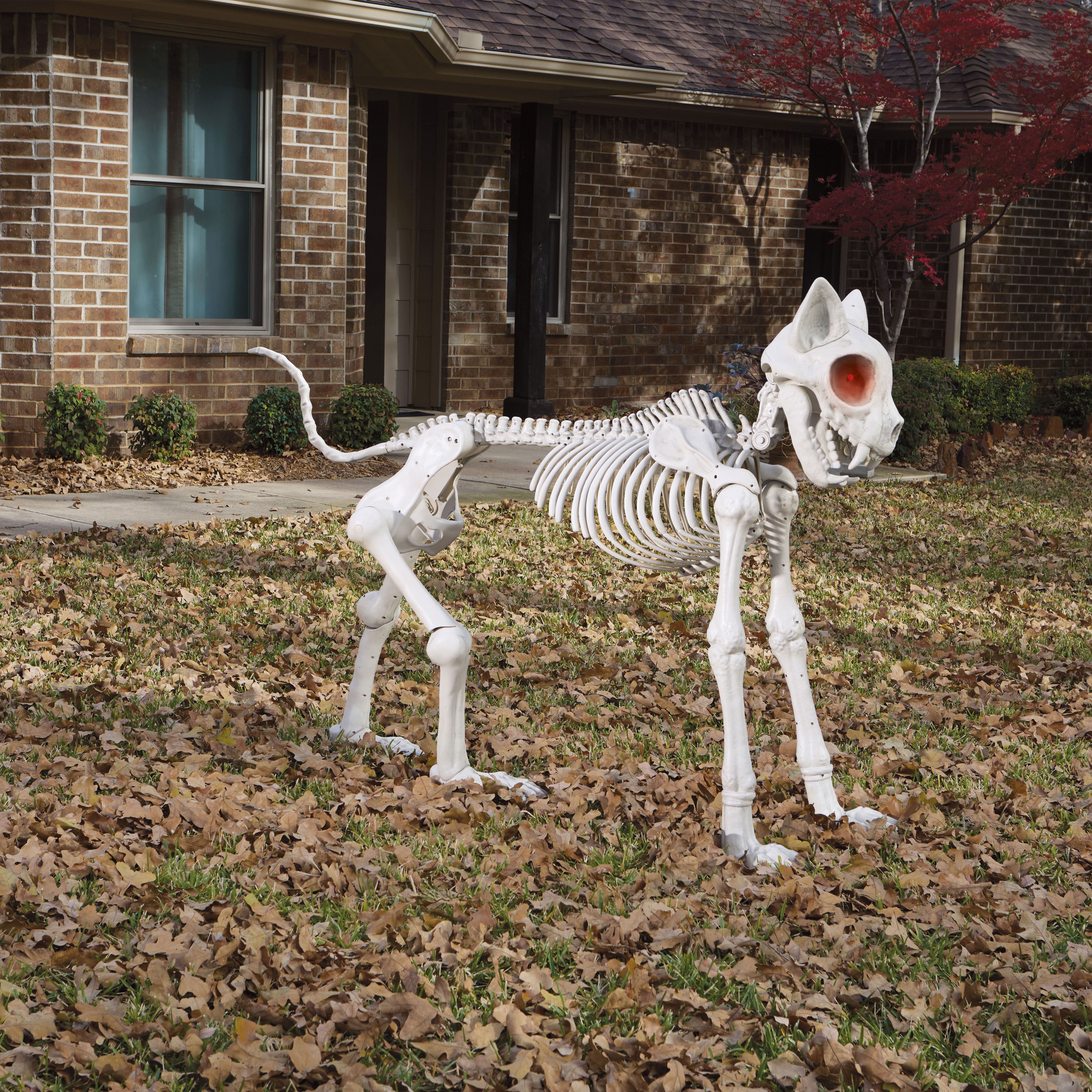 5ft. Oversized Posable Cat Skeleton by Ashland&#xAE;
