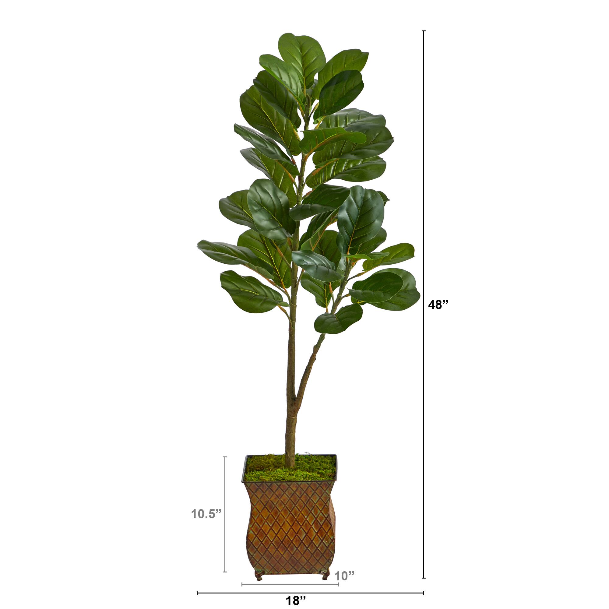 4ft. Fiddle Leaf Fig Tree in Decorative Metal Planter