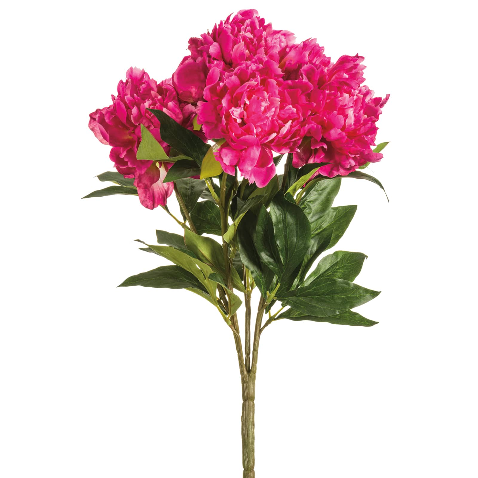 Orchid Garden Peony Bush | Floral Bushes | Michaels