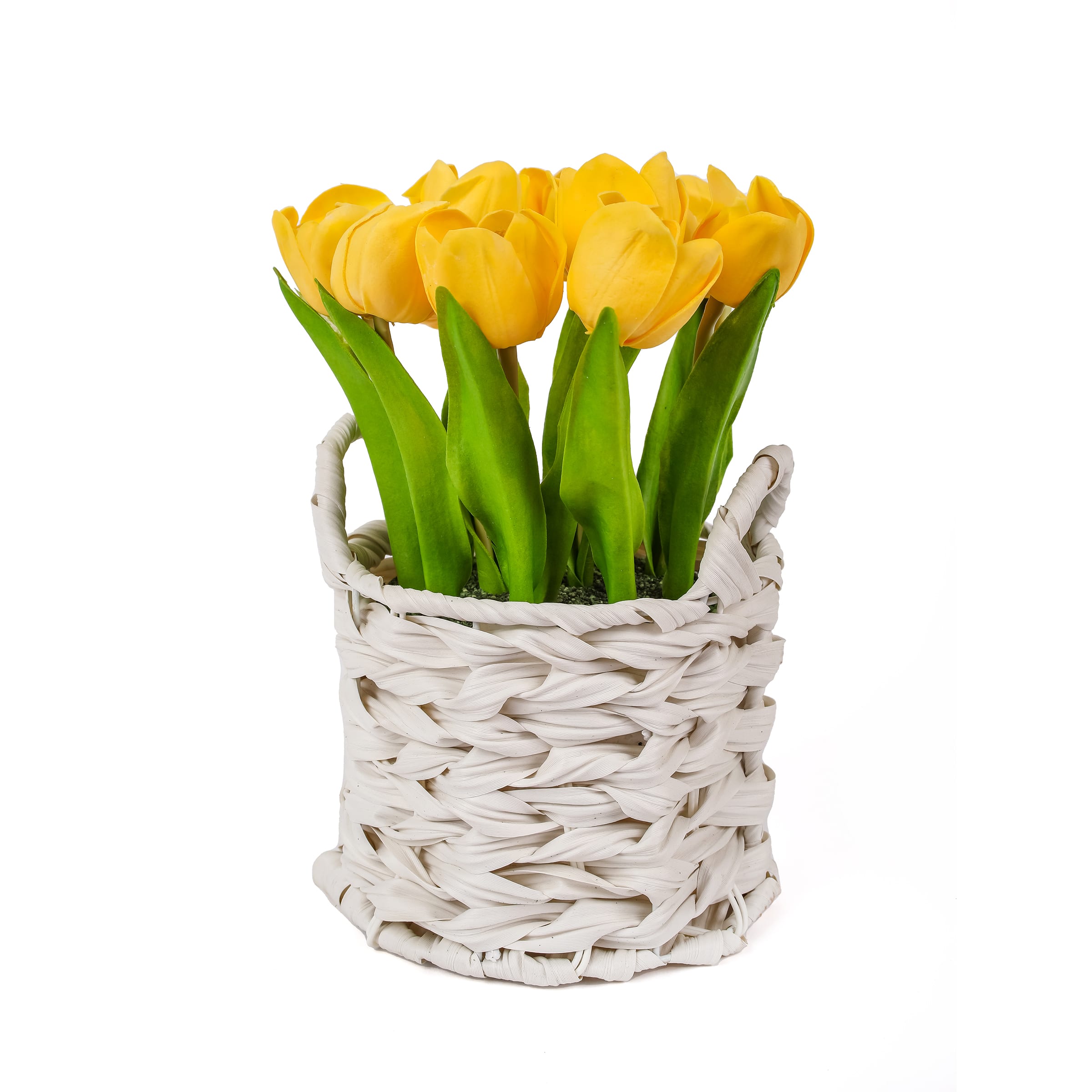 10" Tulip Bouquet in White Basket
