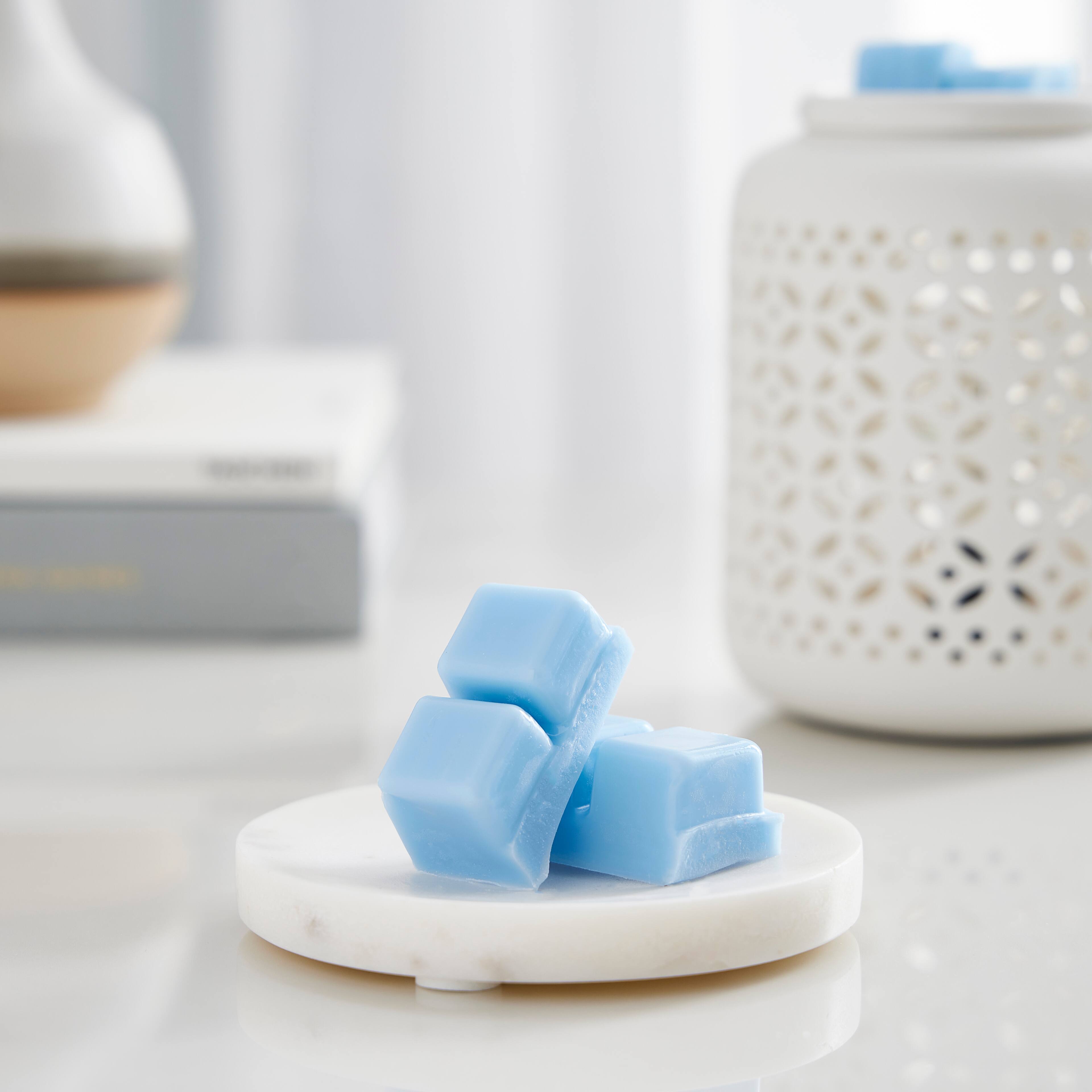 12 Pack: Scented Wax Melt by Ashland®
