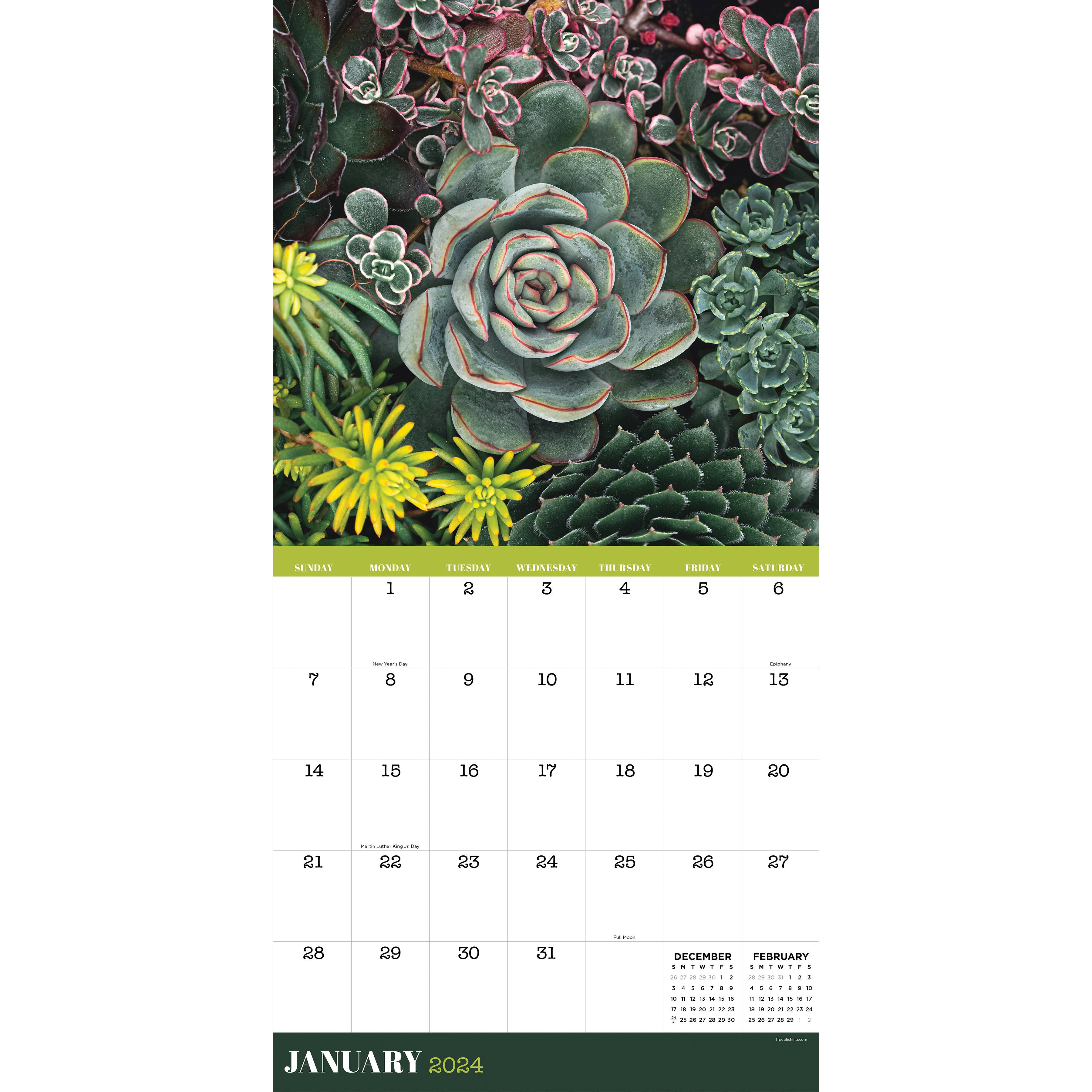 TF Publishing 2024 Succulents Wall Calendar