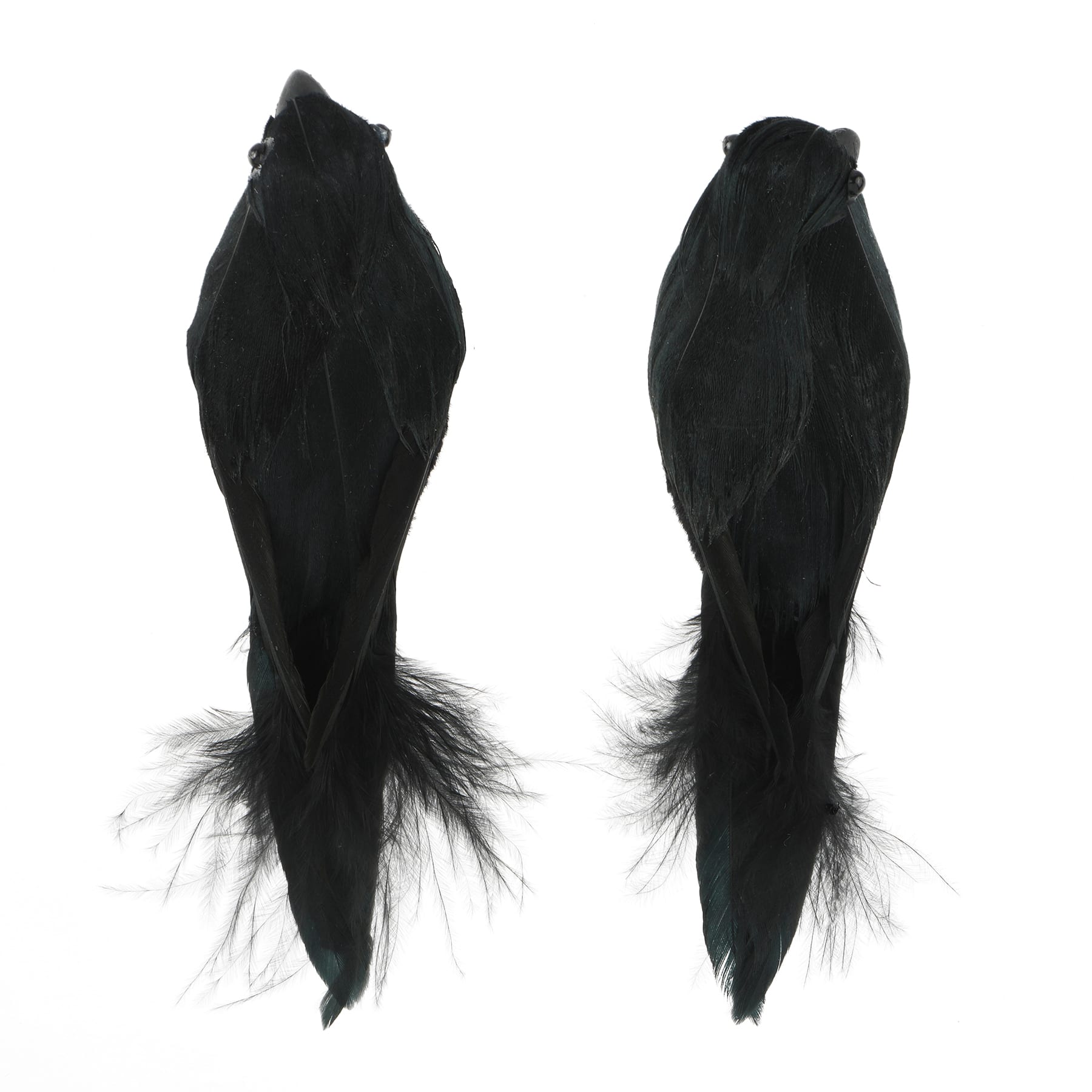 Mini Black Crow Set by Ashland®