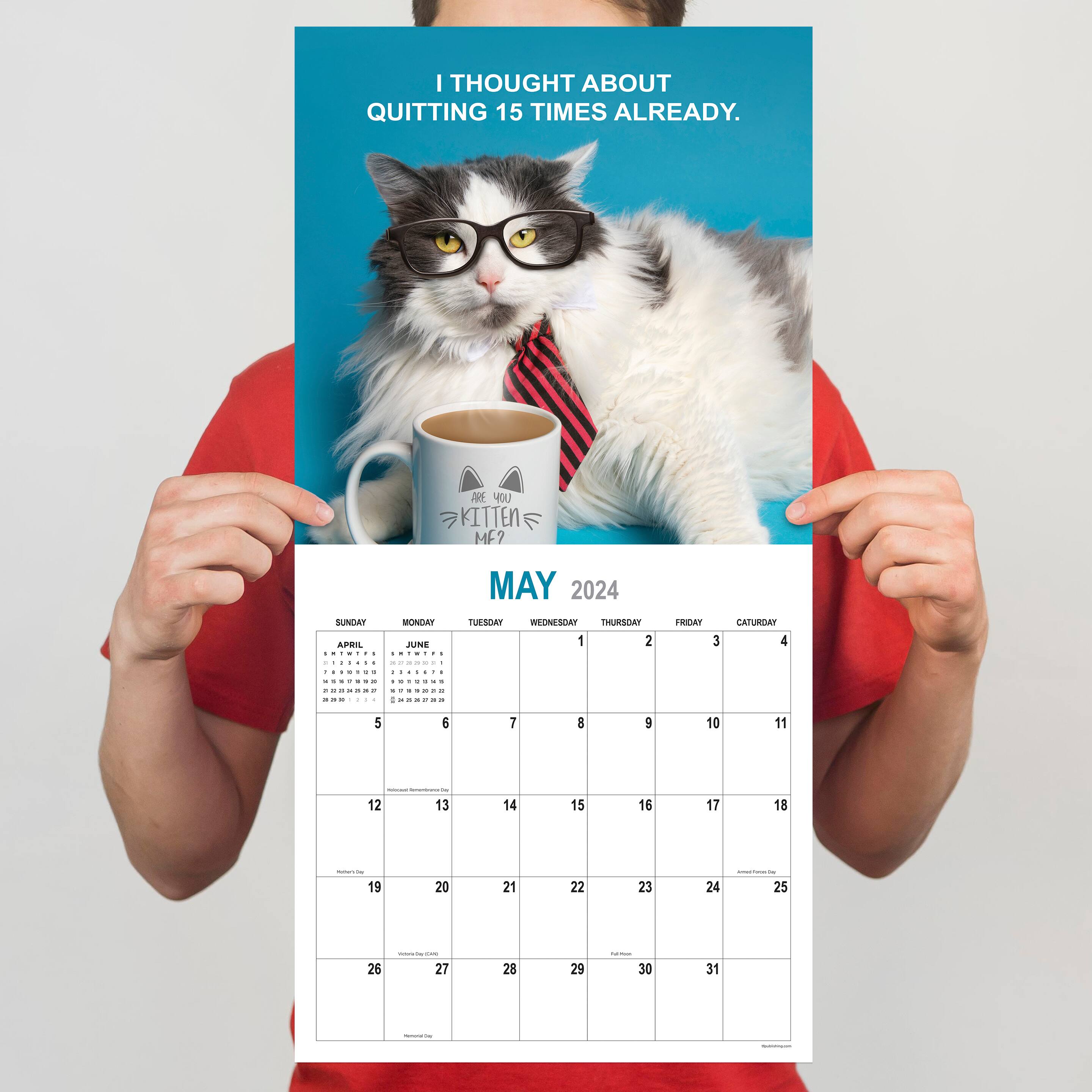 TF Publishing 2024 Corporate Cats Wall Calendar