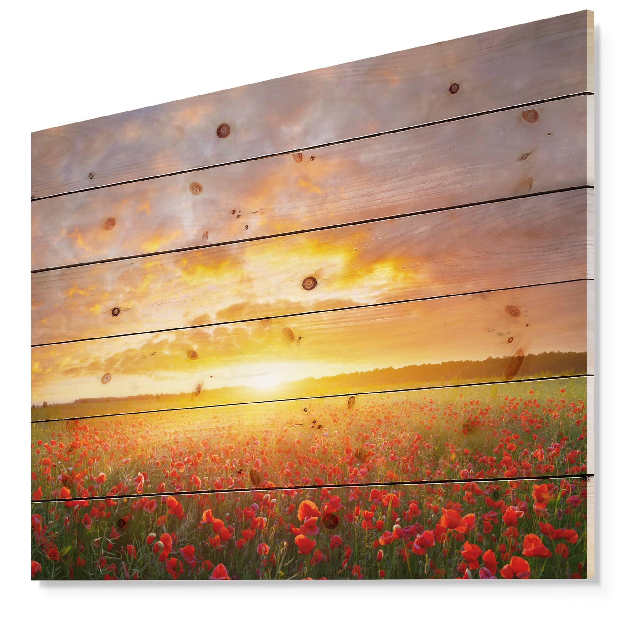 Designart - Poppy Field under Bright Sunset - Landscape Print on Natural Pine Wood